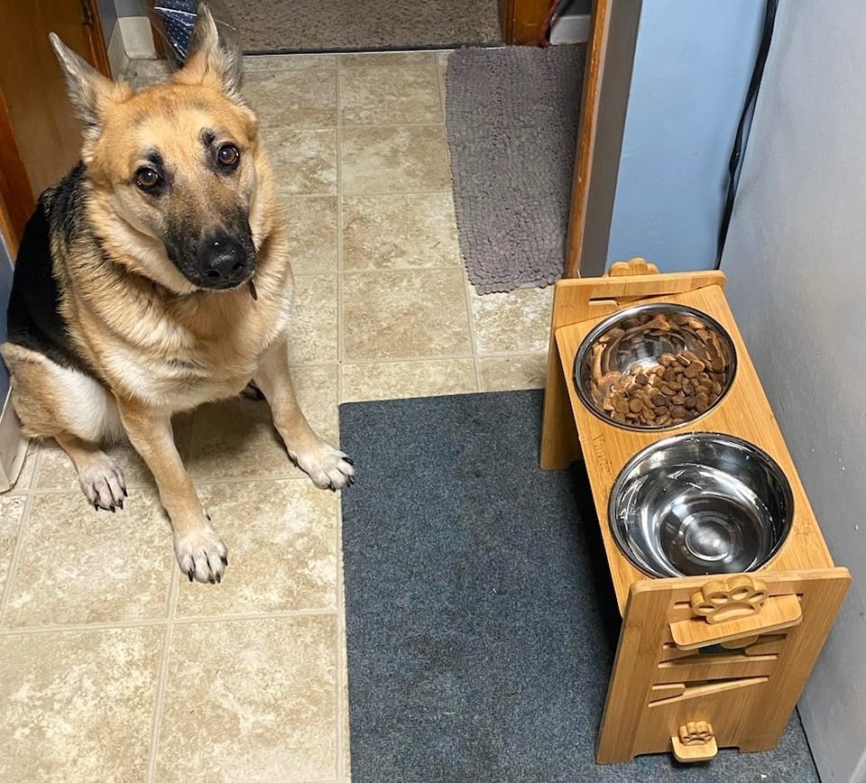Vantic Elevated Dog Bowls, Adjustable Raised Dog Bowl Stand for Medium Sized Pet, Sturdy Particle Board Food Feeder with 2 Stainless Steel Dishes, Rustic Brown customer photo 2
