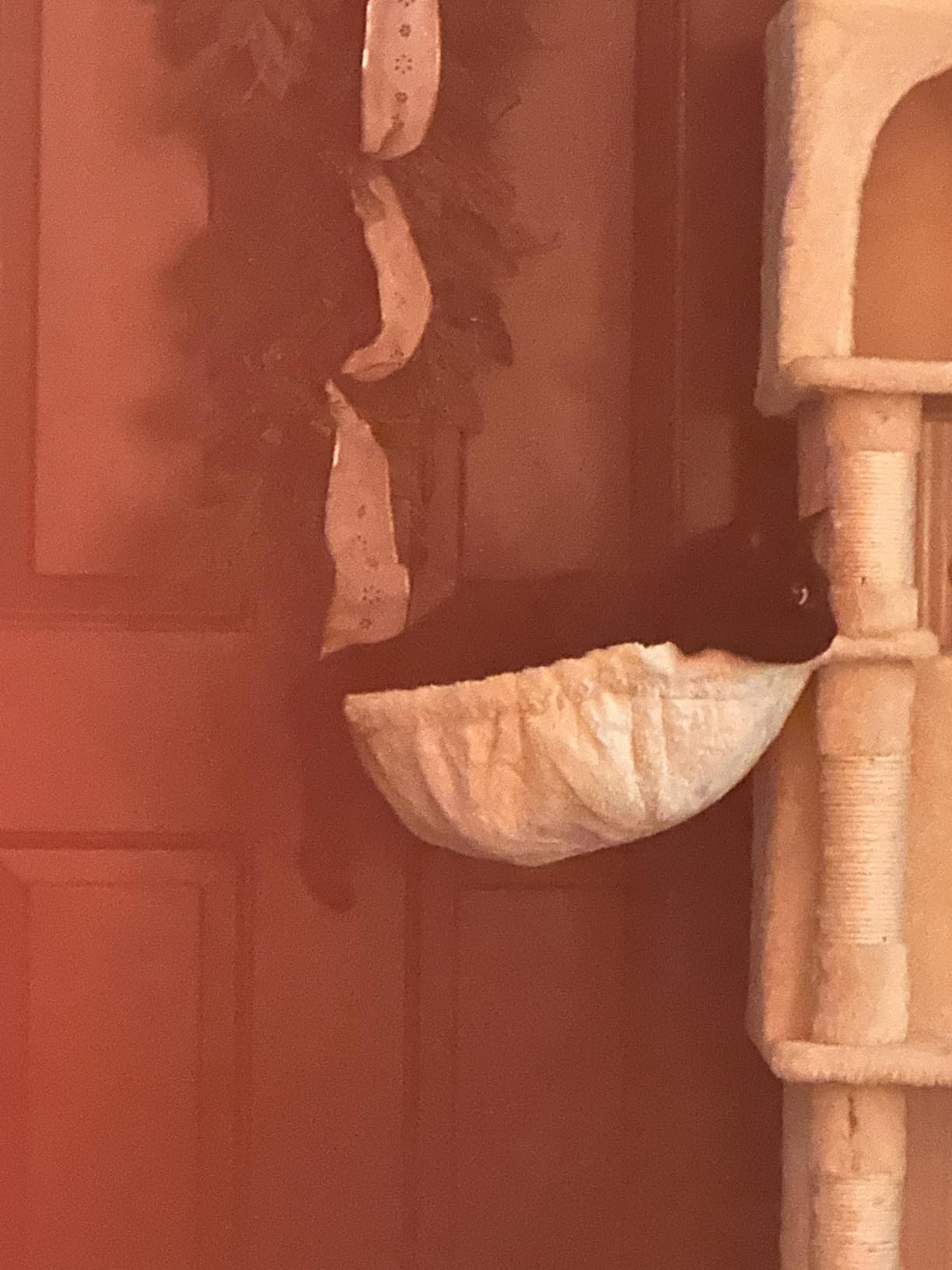 Taoqimiao Cat Tree, 66.2-Inch Cat Tower for Indoor Cats, Plush Multi-Level Cat Condo with 7 Scratching Posts, 2 Perches, 2 Caves, Hammock, 2 Pompoms, Smoky Gray MS013G customer photo 2