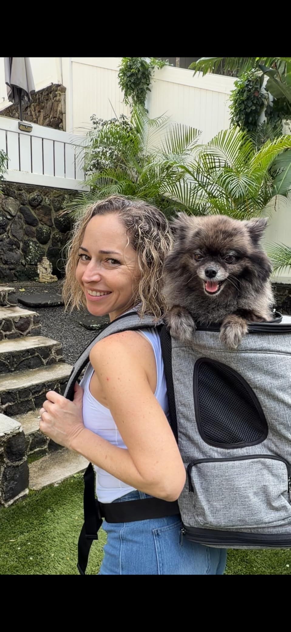 Petsfit Pet Backpack Carrier with Upgrade Waist Cushion Design to Better Fit The Waist, Suitable for Small and Medium Dogs Cats, and Rabbits up to 18 Pounds customer photo 1
