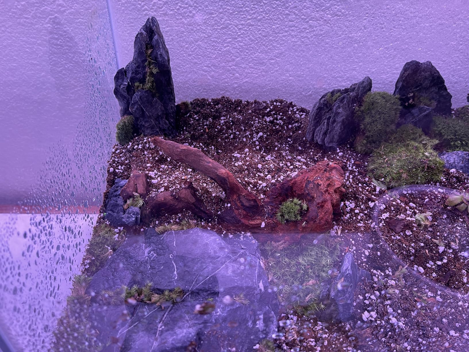 Unocho Seiryu Rock Aquarium Stones 11lb Natural Dragon Stone for Aquascaping Fish Tank Aquarium Landscaping Model Tank Decoration Miniature Fairy Garden(3-8 Inches) customer photo 2