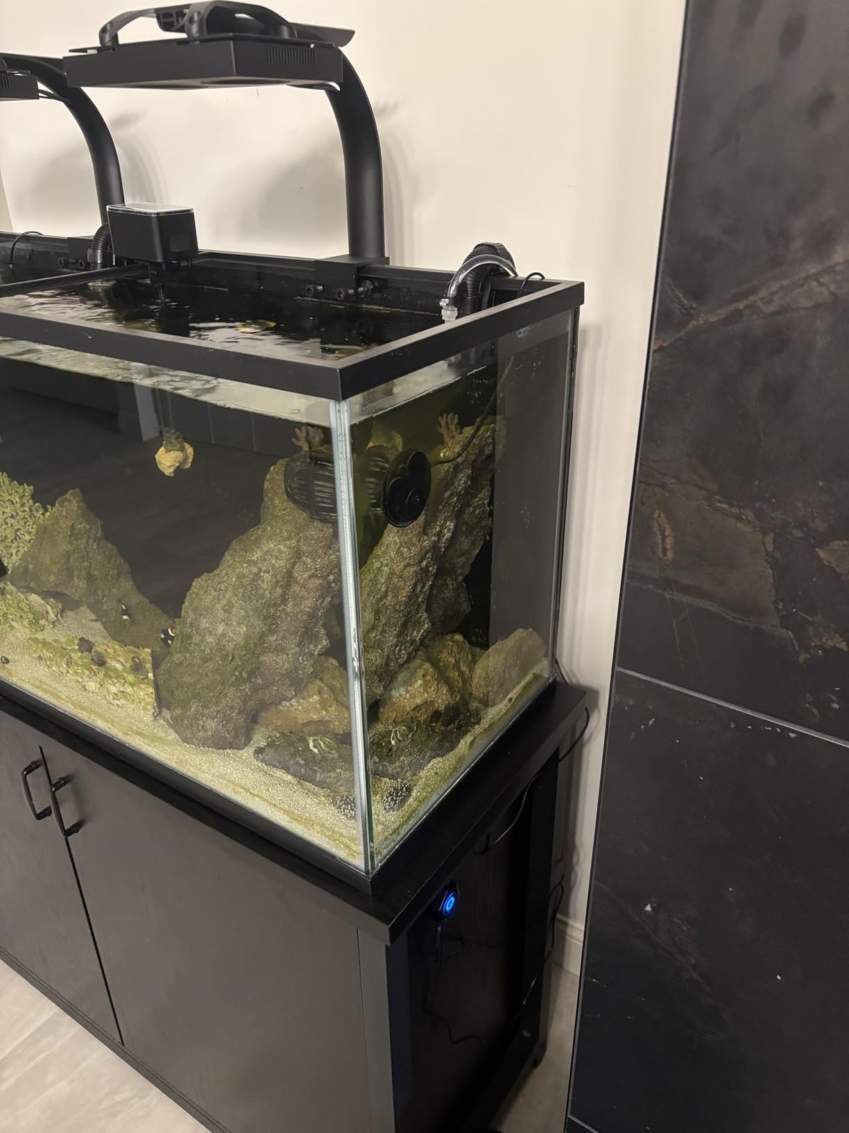FZONE Aquarium ATO with Controller, QST2.0 Auto Top Off System for Saltwater Aquarium & Freshwater Aquarium customer photo 1