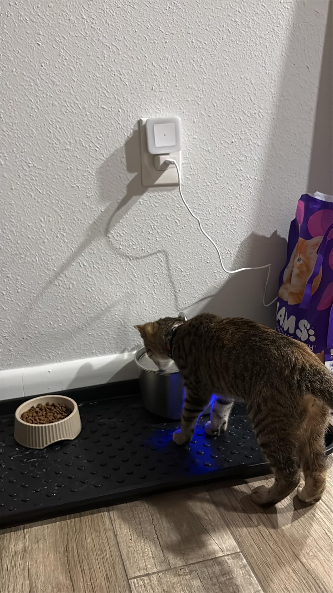 Cat Water Fountain Stainless Steel: 109oz/3.2L Cat Fountain for Drinking - Pet Water Fountain Inside - Automatic Dog Watering Dispenser Bowl - Pet Feeding & Watering Supplies - Water Level Window customer photo 2