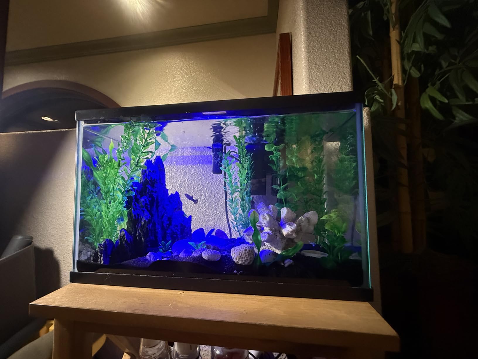 FZONE Resin Seiryu Stone Model Ph-Neutral Aquarium Rocks for aquascaping, Micro-Landscapes customer photo 1