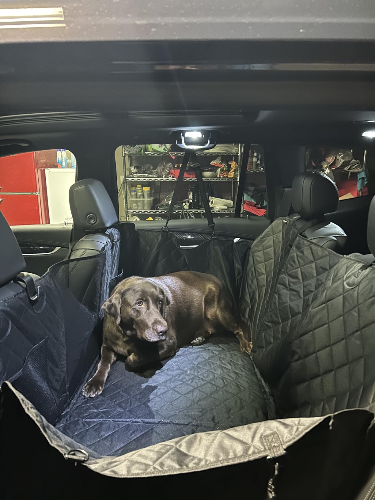 URPOWER 2026 Upgraded Back Seat Extender for Dogs - Large Hard Bottom Dog Car Seat Cover Holds 550lbs, Waterproof Dog Hammock Pet Bed with High-Density Foam Non-Slip Backseat Protector customer photo 2