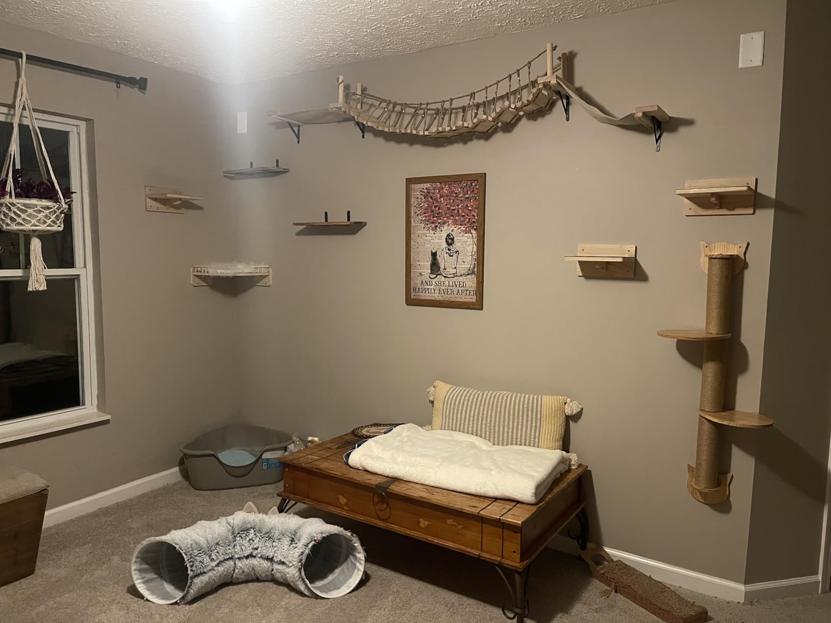 Lenwen Set of 6 Cat Wall Steps Shelf Shelves Wood Cat Climbing Shelves for Cats Mounted Furniture Cats Wall Bed Wood Stairs with Non Slip Felt for Springboard Playing (Classic) customer photo 2
