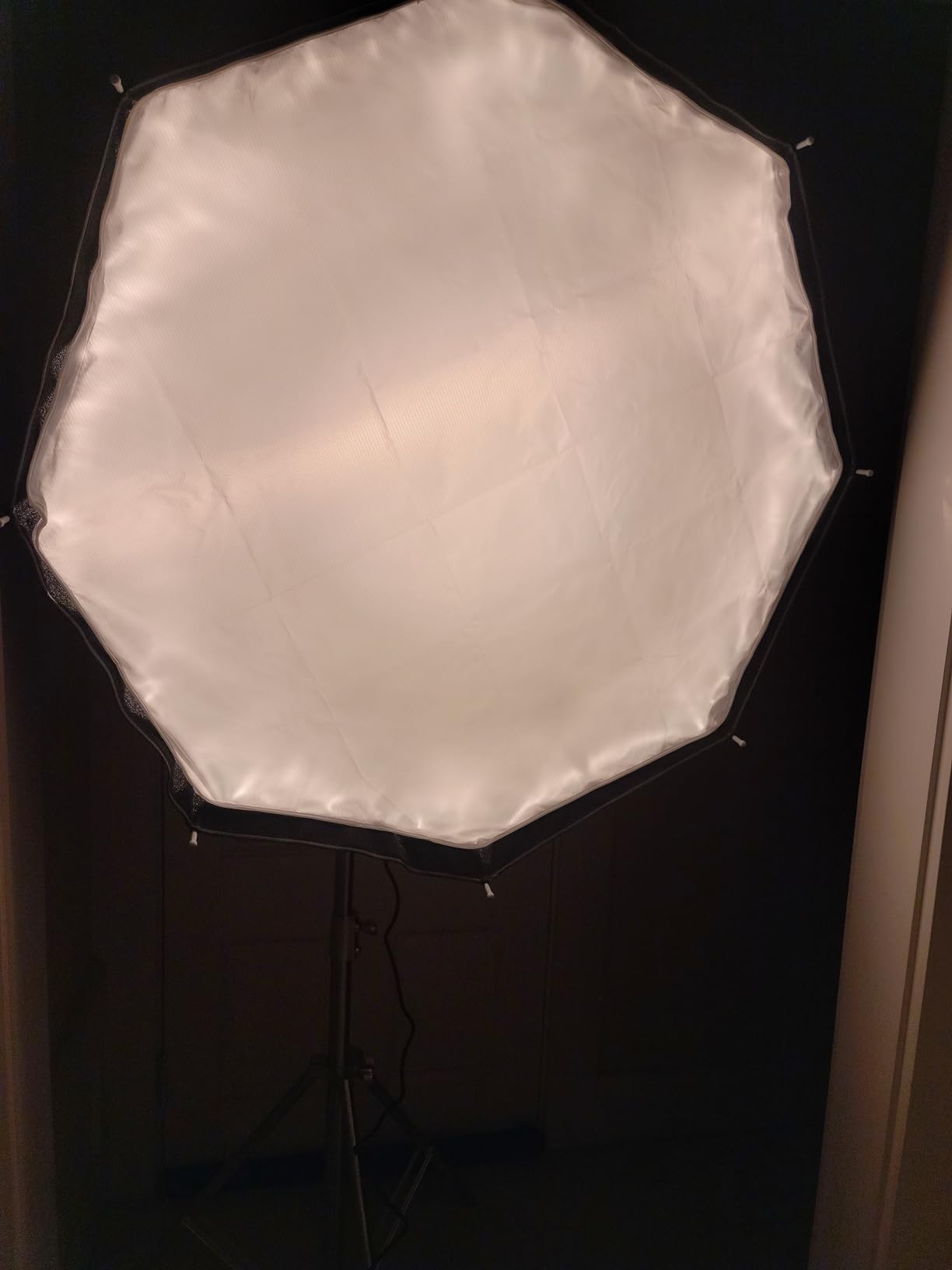 NEEWER 35''/90cm Octagonal Softbox, Quick Release Bowens Mount Softbox with Honeycomb Grid, Light Diffusers, Bag for RGB CB60 CB60B CB200B MS60B MS60C MS150B S101-300W/400W Pro Vision 4 Q4, NS35P customer photo 2