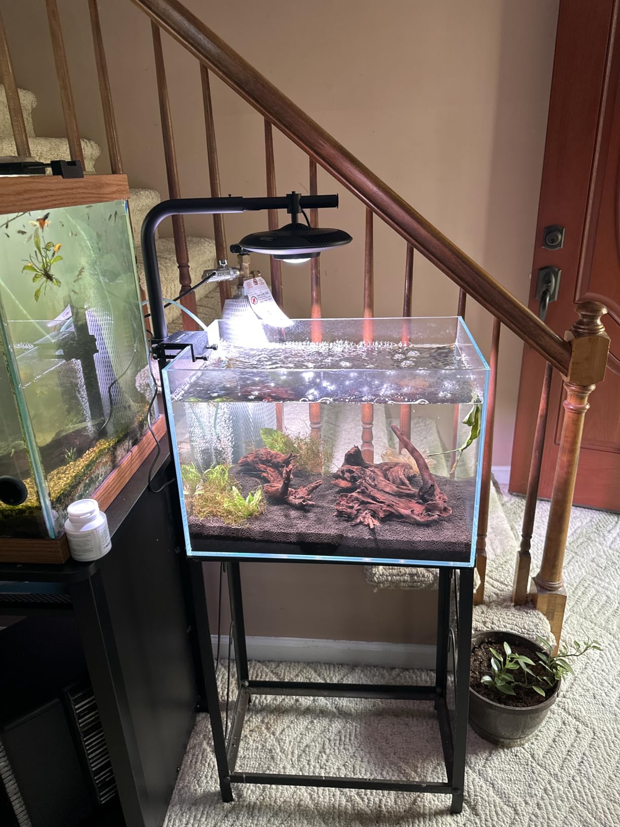 LYPHARD AQUARIUMS 9.5 Gallon Rimless Aquarium, Ultra Clear Glass Low Iron Small Fish Tank for Betta, L15.7 x W11.8 x H11.8 Inches Thickness 5mm with EVA Foam Mat Included customer photo 1