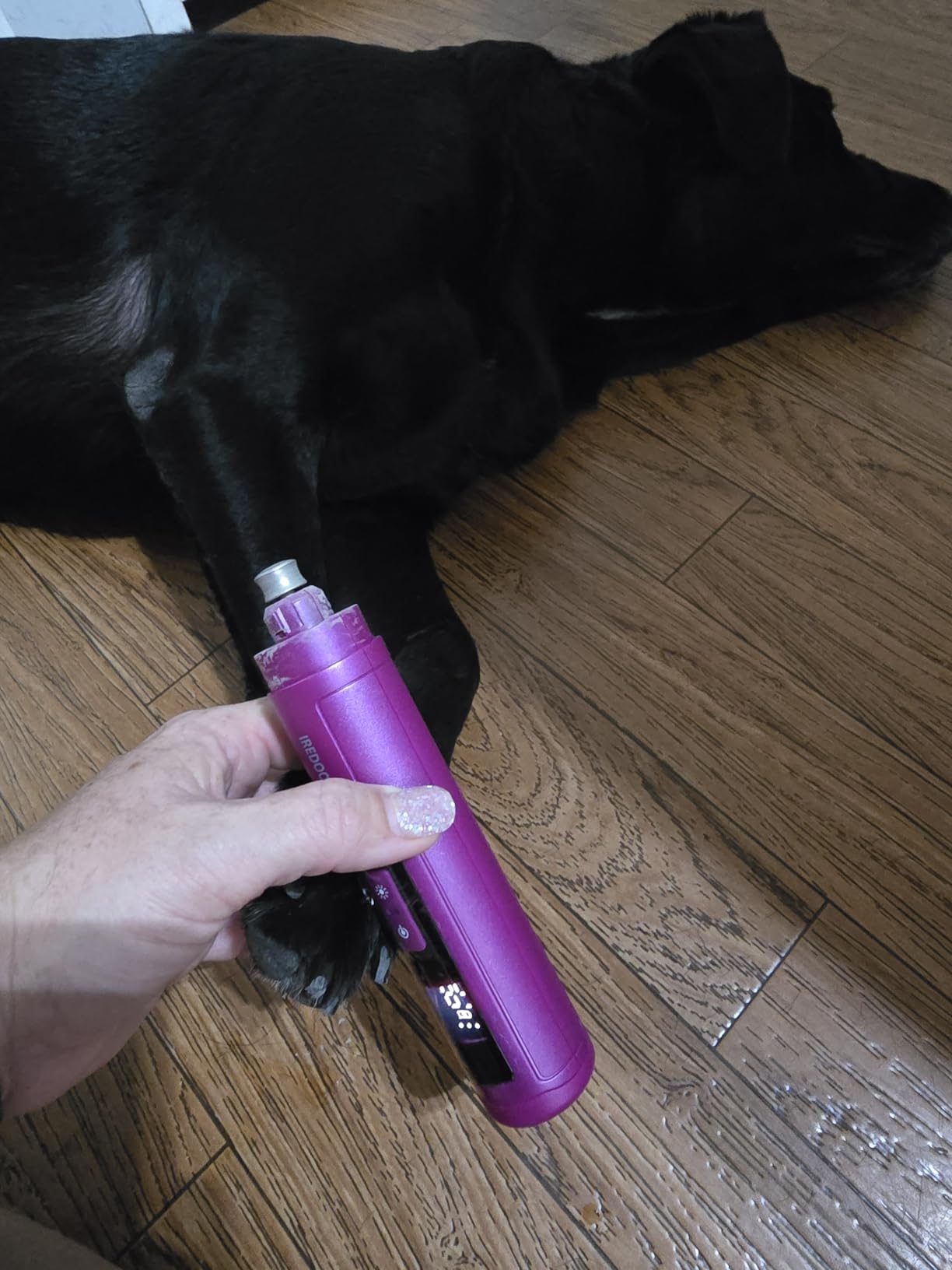 IREDOON Dog Nail Grinder Upgraded - Professional 3-Speed Super Quiet and Low Vibration Electric Pet Nail Grinder with 4 LED Lights - Painless Paws Grooming & Smoothing for Small to Large Dogs (Green) customer photo 1