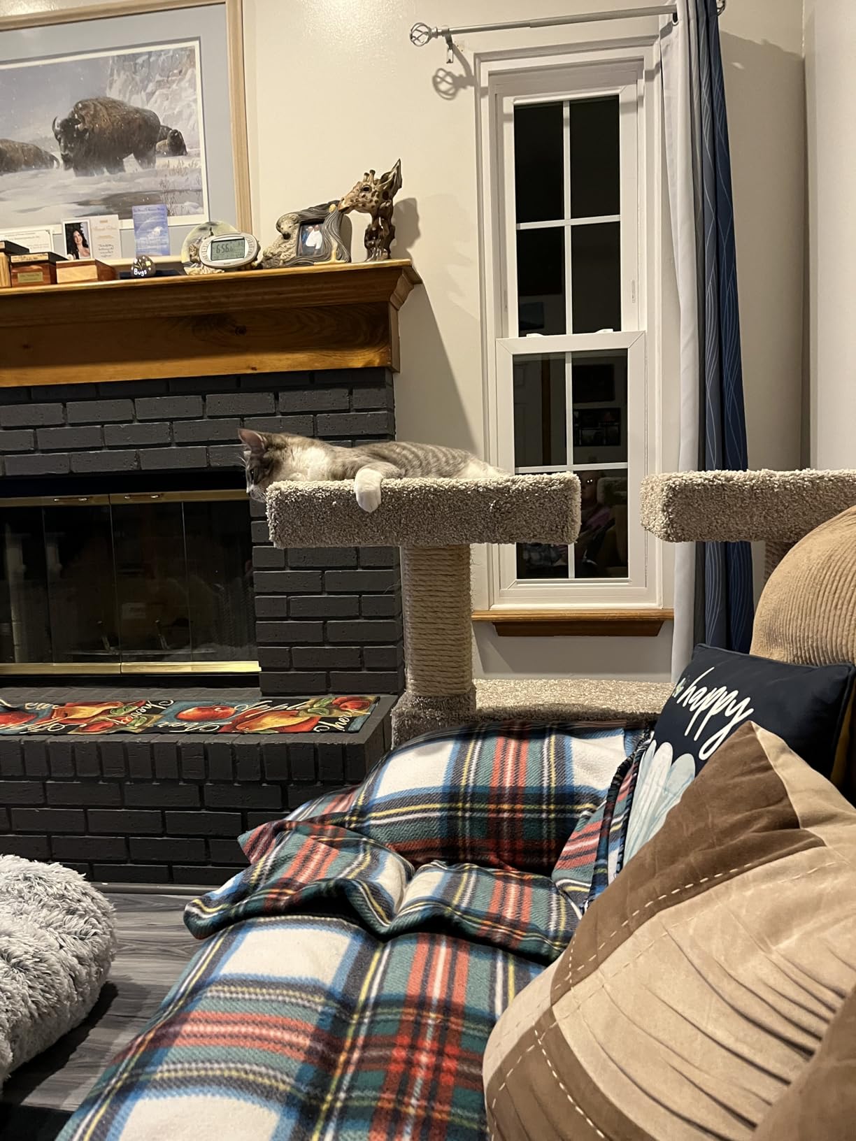 Prestige Cat Trees Maine Coon Deluxe Cat Perch - Made in USA Sturdy Solid-Wood Tower for Large and Multiple Cats - Easy 2-Step Assembly, Plush Carpet, Sisal Scratch Posts customer photo 1