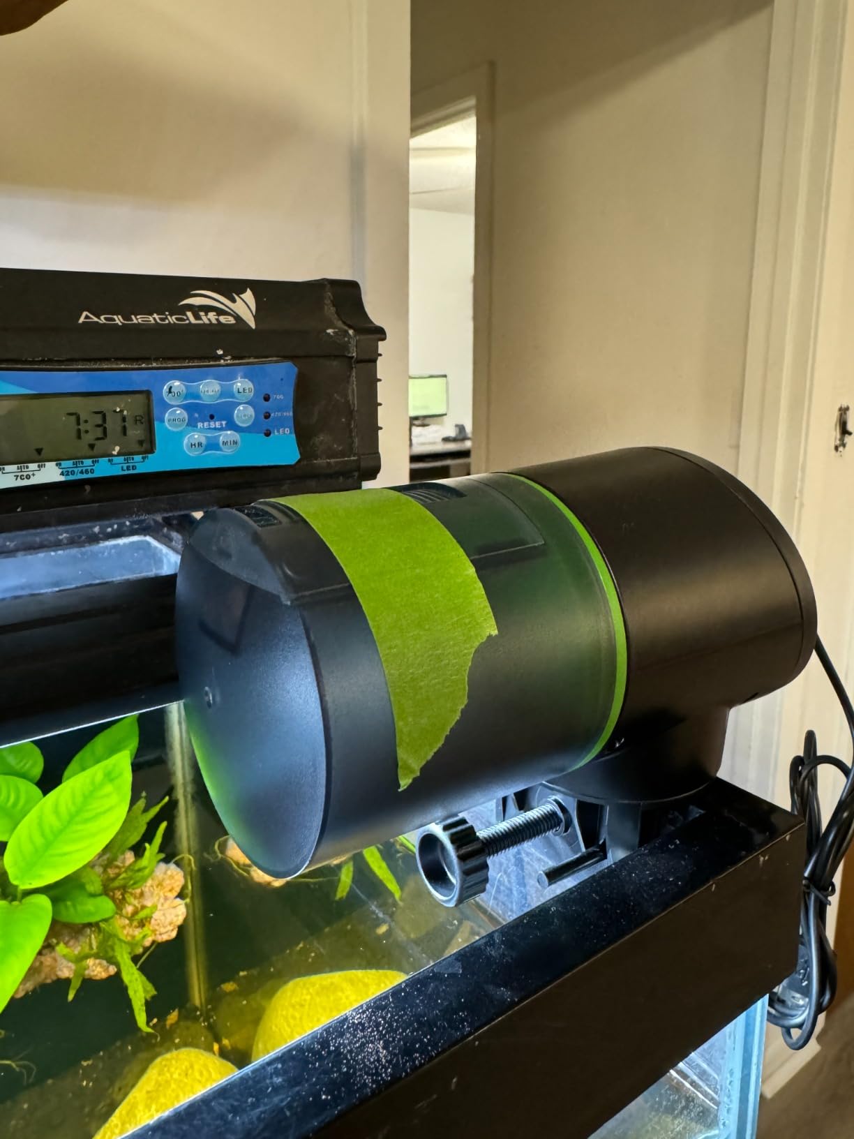 Automatic Fish Feeder for Aquarium - Auto Fish Food Dispenser Rechargeable for Small Large Tank with USB Charger Cable, 12/24/48H Interval Easy Set Up (Black, CY-019) customer photo 1