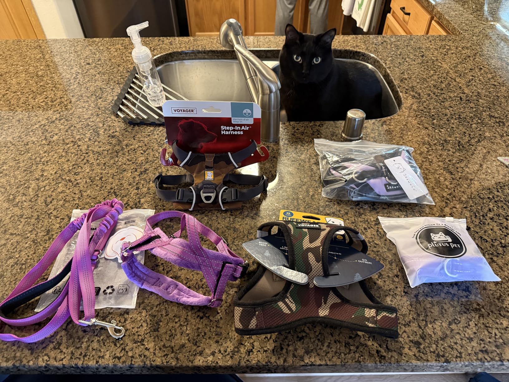 Ruffwear, Front Range Dog Harness, Reflective Soft Padded Everyday Harness with Dual Leash Clips, Adjustable and Lightweight Fit for Training or Walking for All Dogs customer photo 2