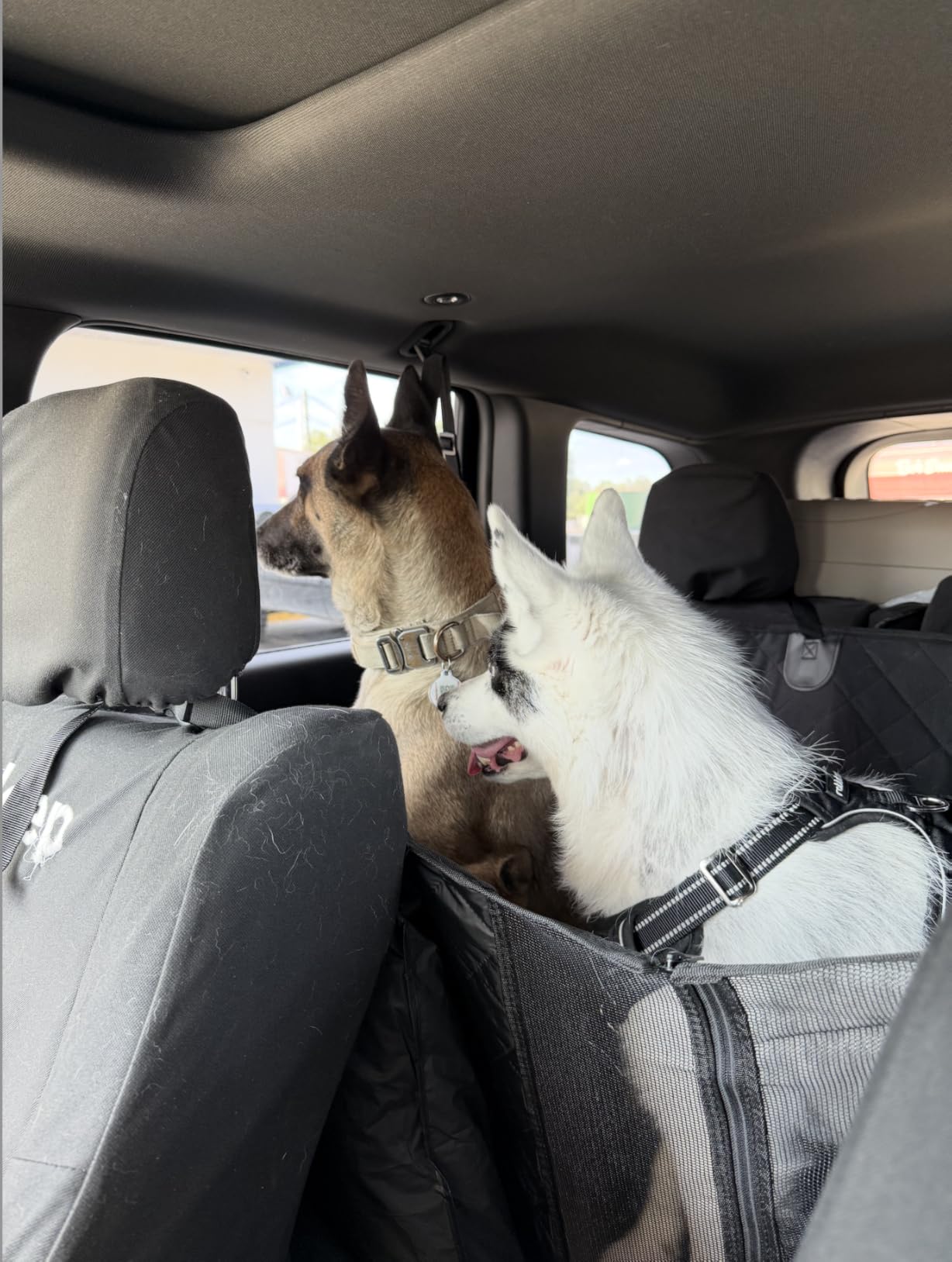 Dog Car Seat Cover, 600D Heavy Dute Durable Car Seat Cover for Dogs Pets, 100% Waterproof Scratch Proof Nonslip Dog Hammock for Cars, Seat Covers Protector with Seatbelt for Pet Sedan SUV Trucks customer photo 1