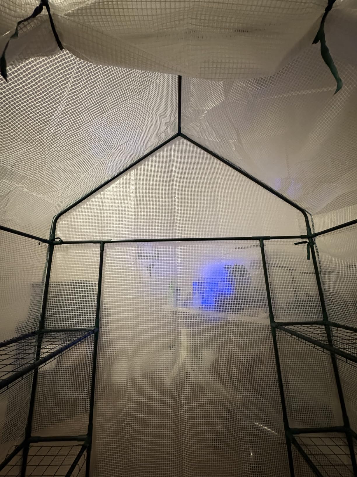 Greenhouse, Portable Mini Walk-in Green House for Outdoors with Roll-up Zipper Door, Anchors, and UV-Resistant Cover customer photo 1