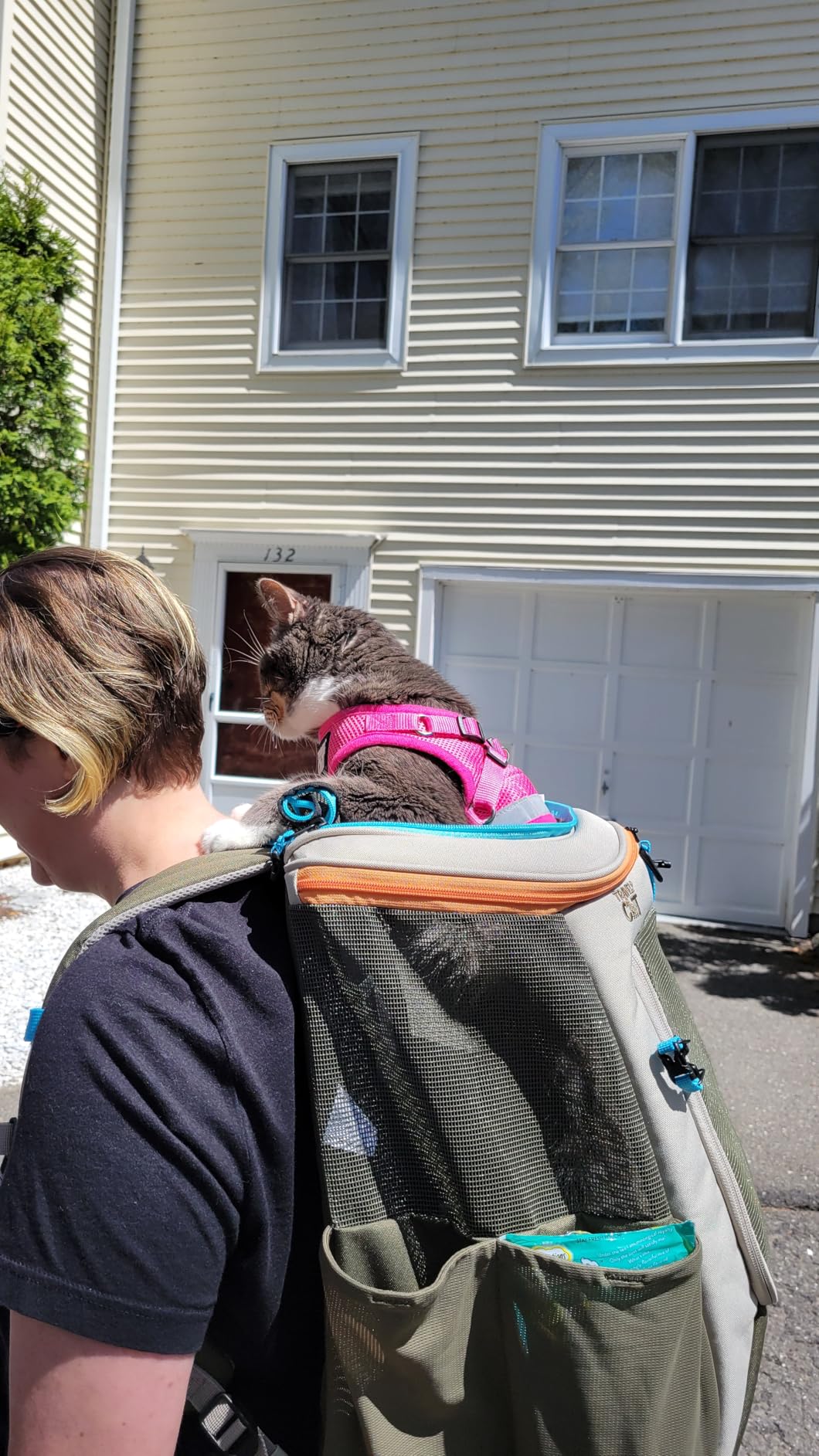 Travel Cat Backpack Carrier - The Navigator Convertible Pet Carrier Backpack - Cat Carrier Backpack with Fully Ventilated Mesh (Earth) customer photo 1