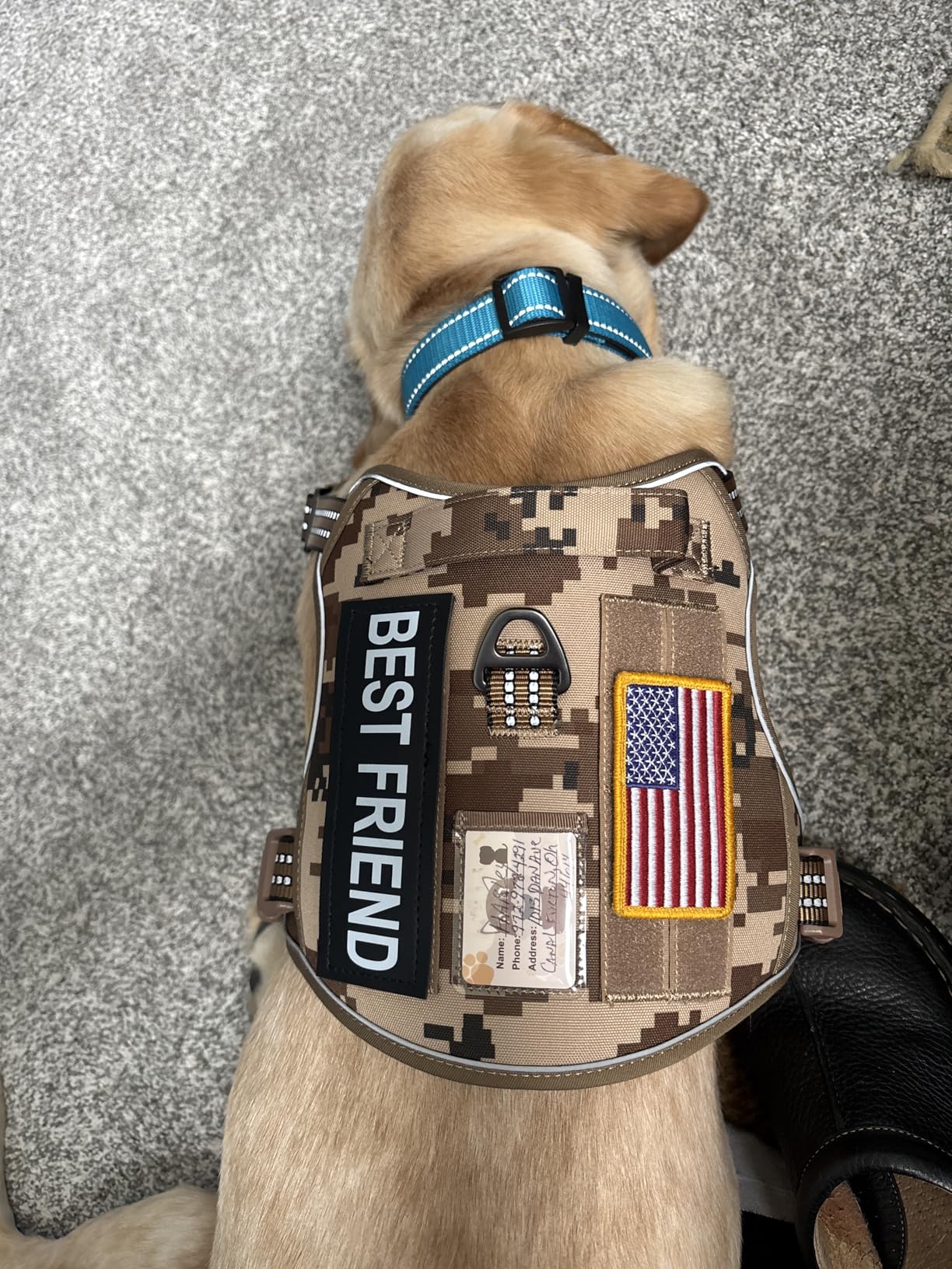 Beebiepet Heavy Duty Tactical Dog Harness, No Pull Adjustable Pet Harness Reflective Service Training Easy Control Pet Vest Military K9 Working Dog Harnesses - Large, Brown customer photo 1
