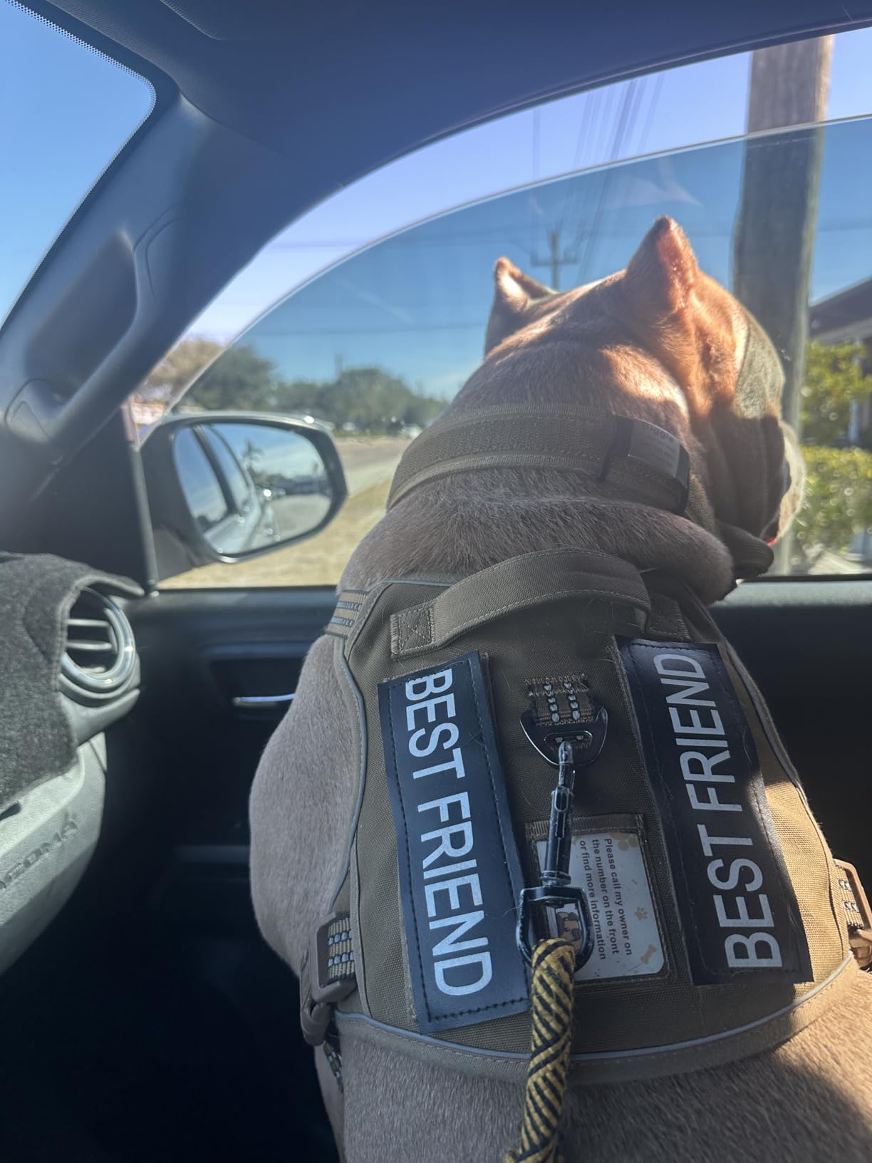 Beebiepet Heavy Duty Tactical Dog Harness, No Pull Adjustable Pet Harness Reflective Service Training Easy Control Pet Vest Military K9 Working Dog Harnesses - Large, Brown customer photo 2
