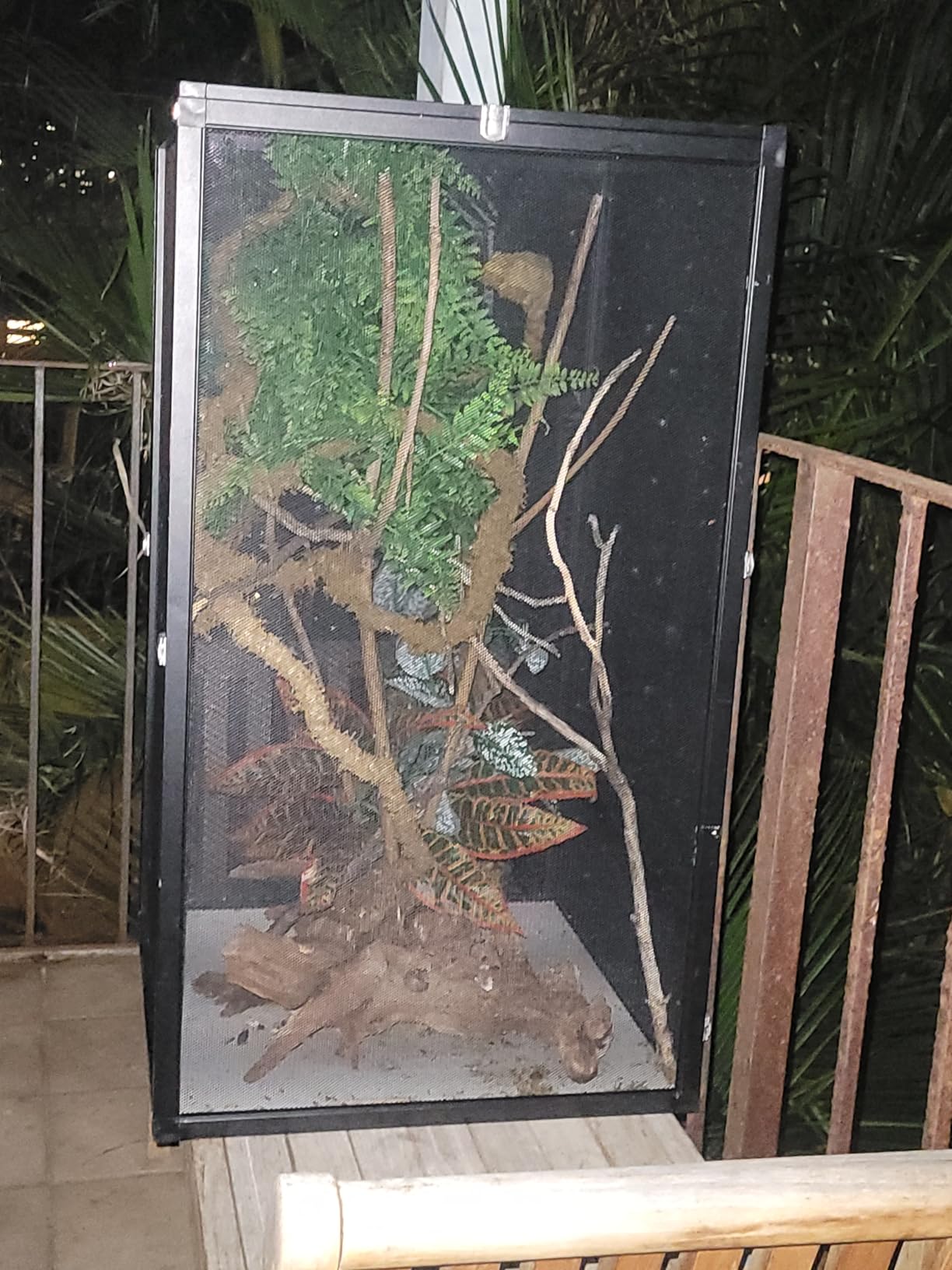 33 Gal Detachable and Foldable Reptile Butterfly Cage Terrarium, 360 Degree Observation, Airflow, Interaction in Gecko Tank for Crested Geckos, Leopard Geckos, Chameleons, Bearded Dragons customer photo 1