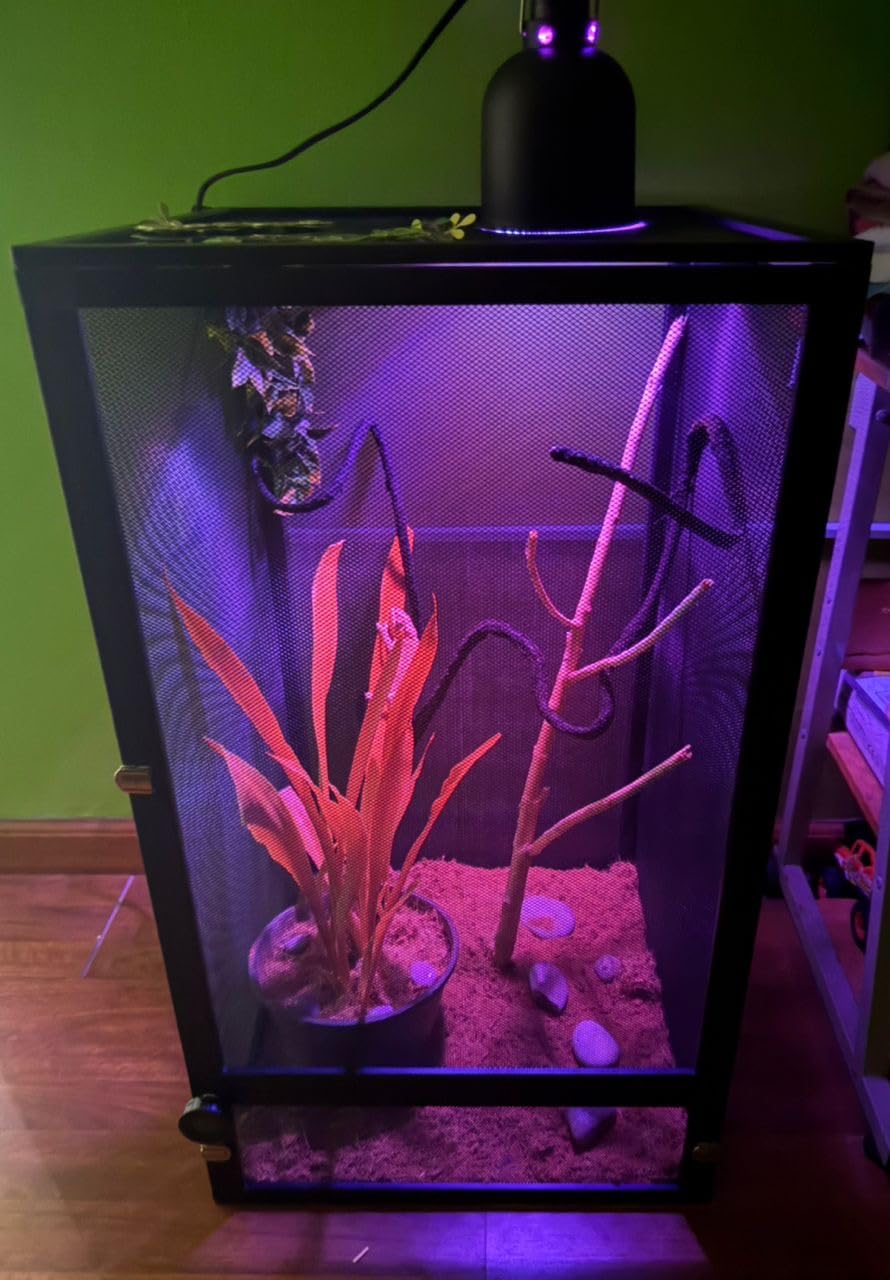 33 Gal Detachable and Foldable Reptile Butterfly Cage Terrarium, 360 Degree Observation, Airflow, Interaction in Gecko Tank for Crested Geckos, Leopard Geckos, Chameleons, Bearded Dragons customer photo 2