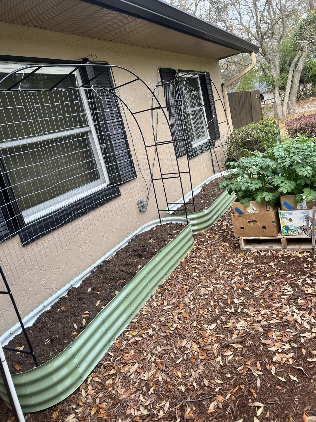 Winpull Raised Garden Bed Kit, 4x2x1 ft Galvanized Planter Box Outdoor with Safety Edging (Avocado Green) customer photo 1