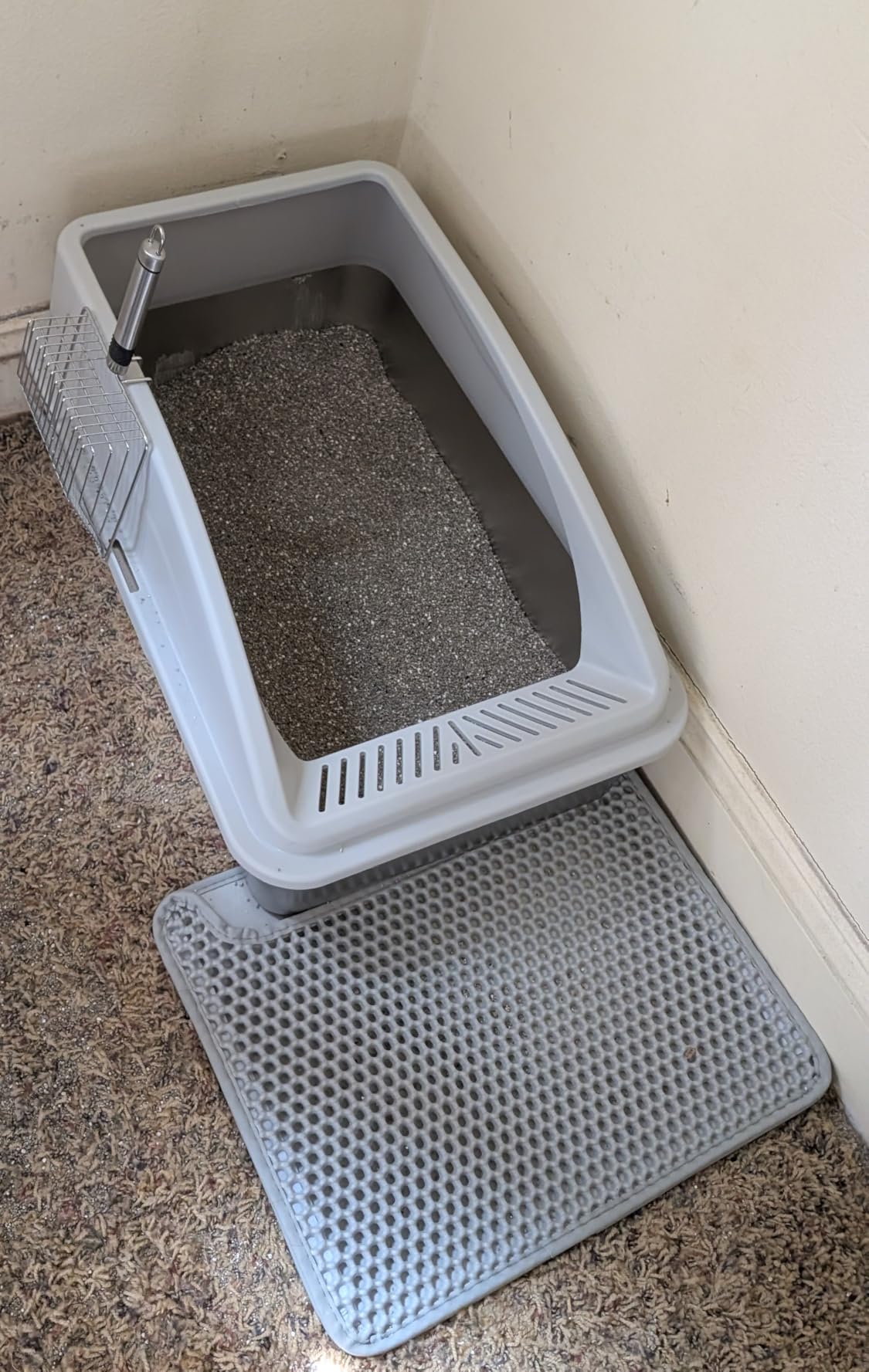 Stainless Steel Litter Box | XL Enclosed Cat Litter Boxes with Lid for Big Cats | High Sided, Anti-Urine Leakage customer photo 1