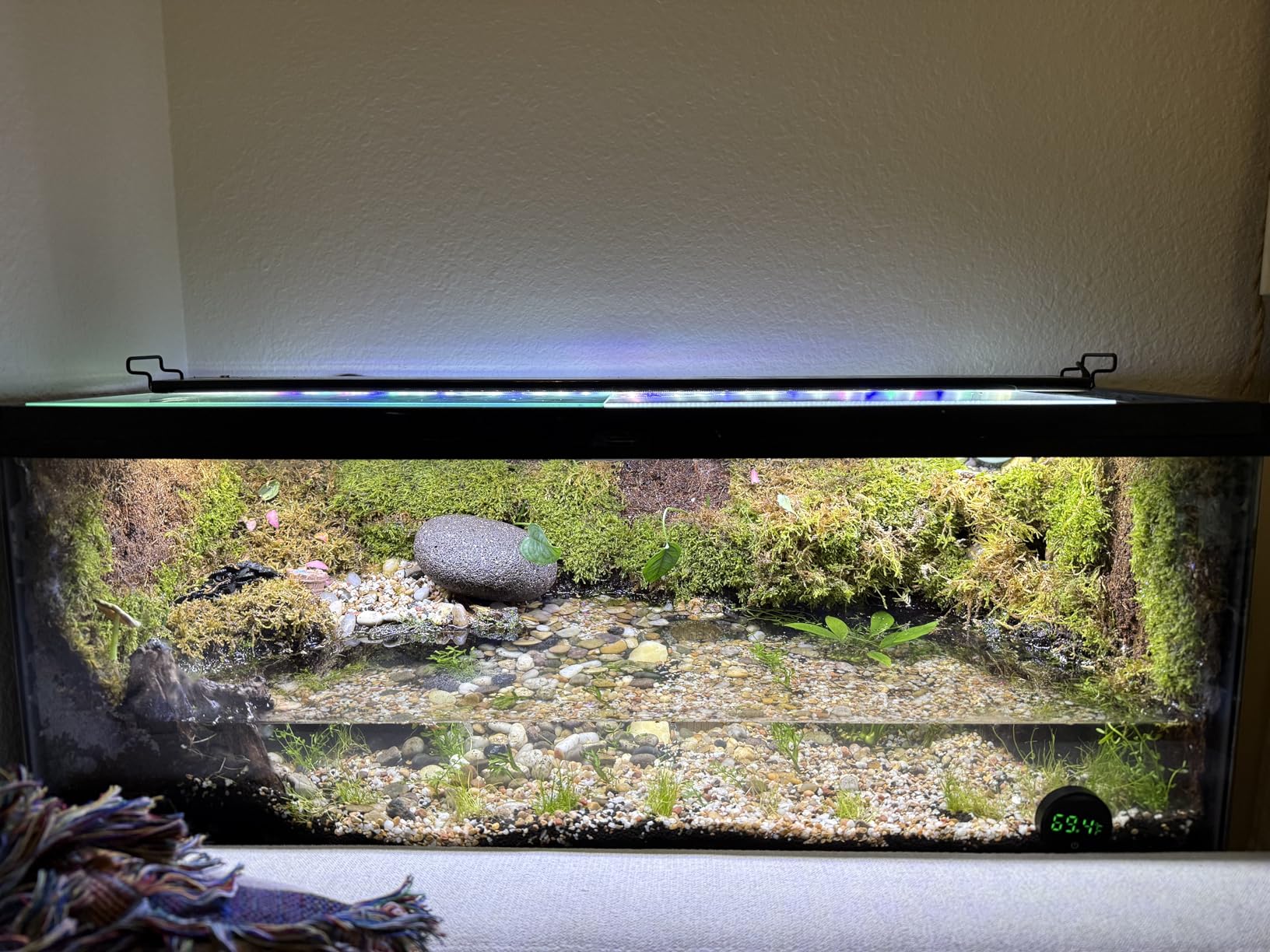 QZQ Fish Tank Thermometer Aquarium Thermometer Wireless Touch Stick Digital Aquarium Thermometer LED Display ±1°F for Monitoring The Fish Tank Aquarium Temperature Accessories (Black) customer photo 1