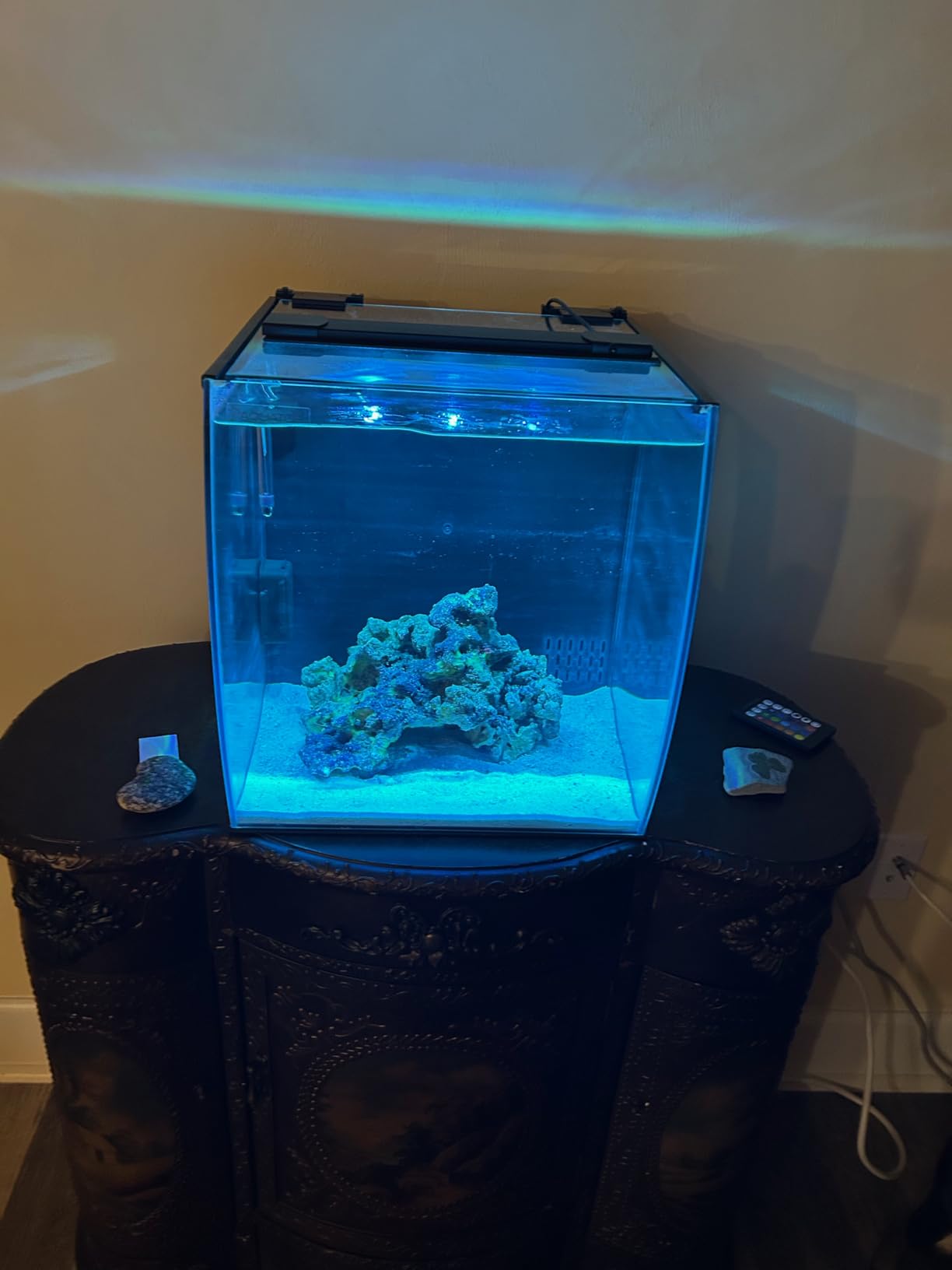 Aquatop 8.6 Gallon Bow Front Glass Aquarium Kit with Filter and LED Lighting - All in One Desktop Fish Tank, Ideal for Freshwater and Saltwater, BFK-08 customer photo 1
