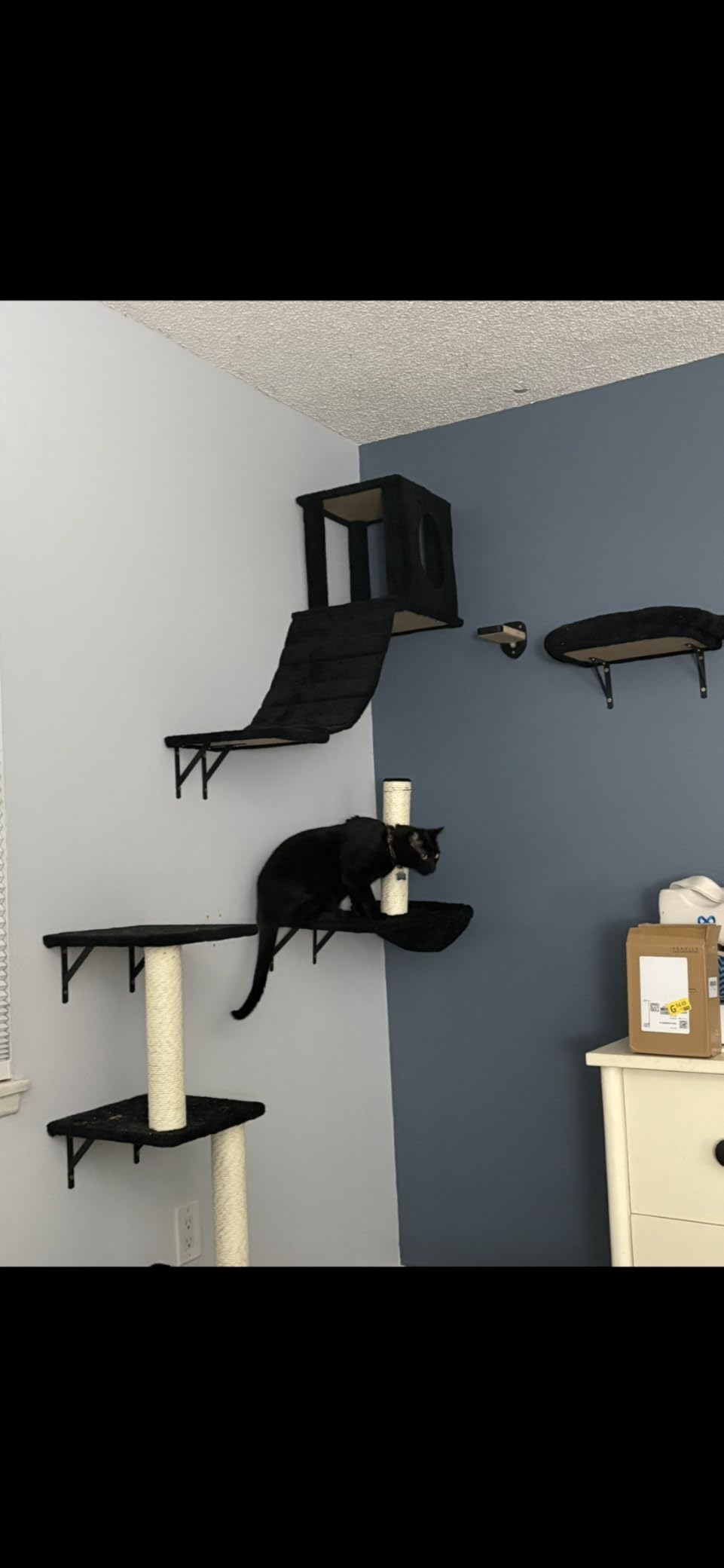 NUNU LAB 7-in-1 Cat Wall Shelves, Wall Mounted Cat Climber Set, Cat Furniture with House, Tunnel, Bridge, Steps, Scratcher, Hammock, Shelves for Indoor, Black customer photo 1