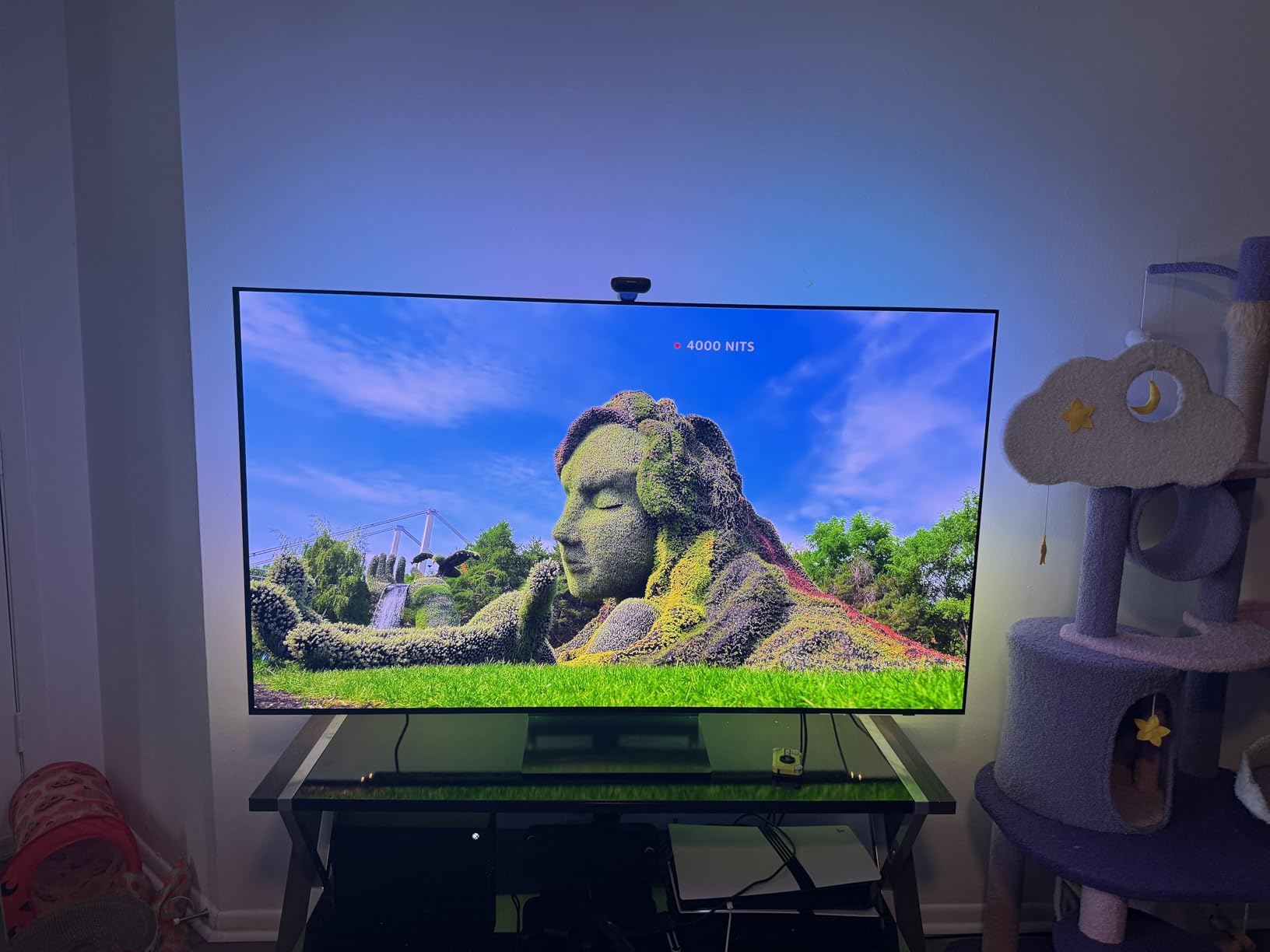Samsung 65-Inch Class OLED 4K S90D Series HDR+ Smart TV (QN65S90D, 2024 Model) customer photo 2