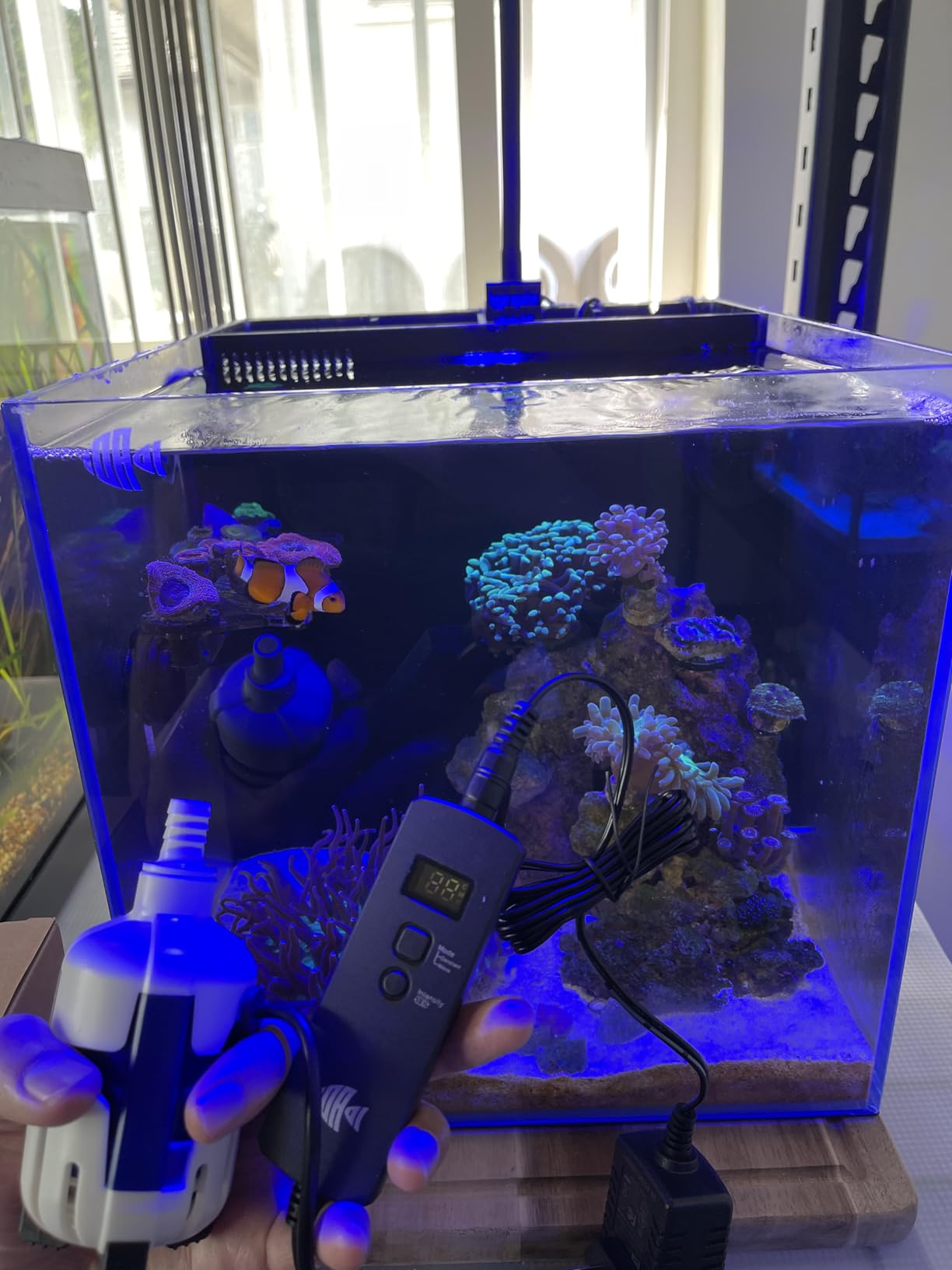 Nano Return Pump for Saltwater Aquarium Sump, Small Water Pump, DC 12V with Controller, 185GPH (700L/H), 9 Watts customer photo 1