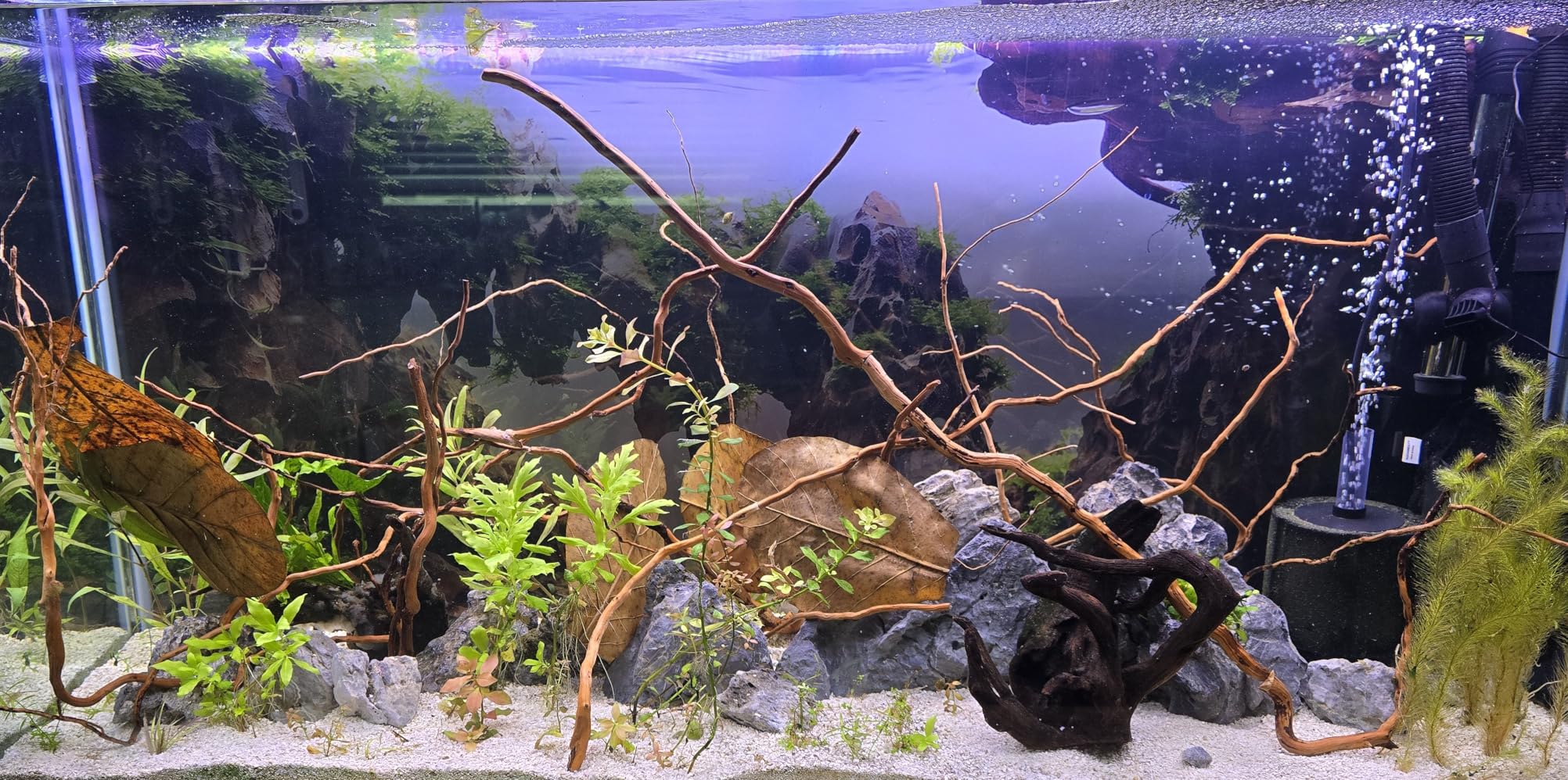 Azil Natural Aquarium Driftwood Root - Driftwood for Aquarium Decor, 170g (14