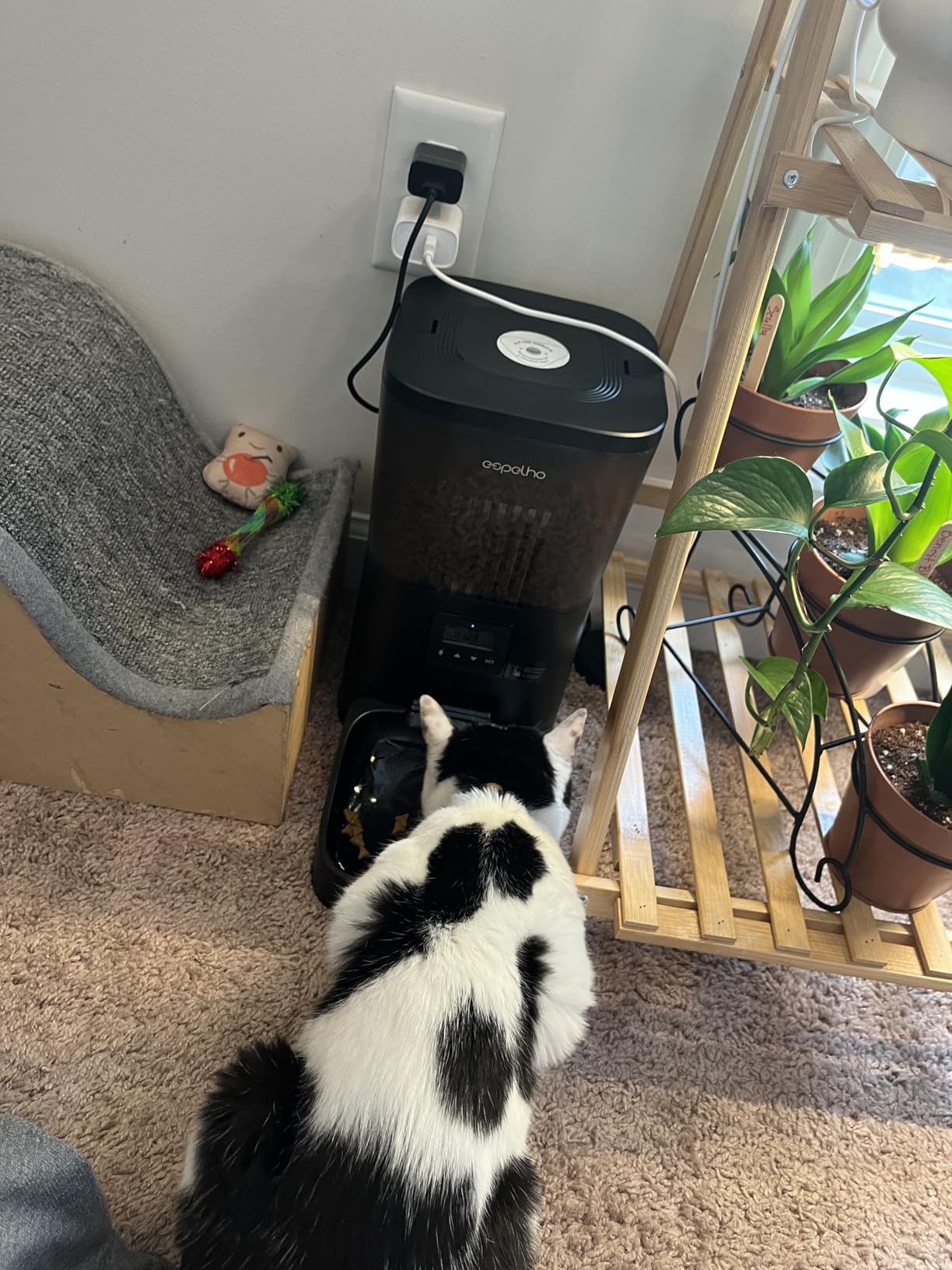Espelho Automatic Cat Feeder - 4L Timed Cat Food Dispenser 1-6 Meals Control for Cat and Small Dog - Auto Pet Feeder with Desiccant Bag Keep Fresh for Reliable Easy Set Up and Clean - Voice Recorder customer photo 2