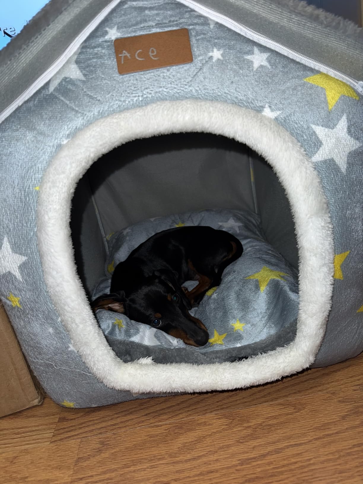 BXEBUI Dog House Indoor Memory Sponge, Foldable Dog House Kennel Bed Mat with Cushion for Small Medium Large Dogs Cats, Winter Warm Cat Nest Puppy Cave Sofa Pet Products (XL) customer photo 1