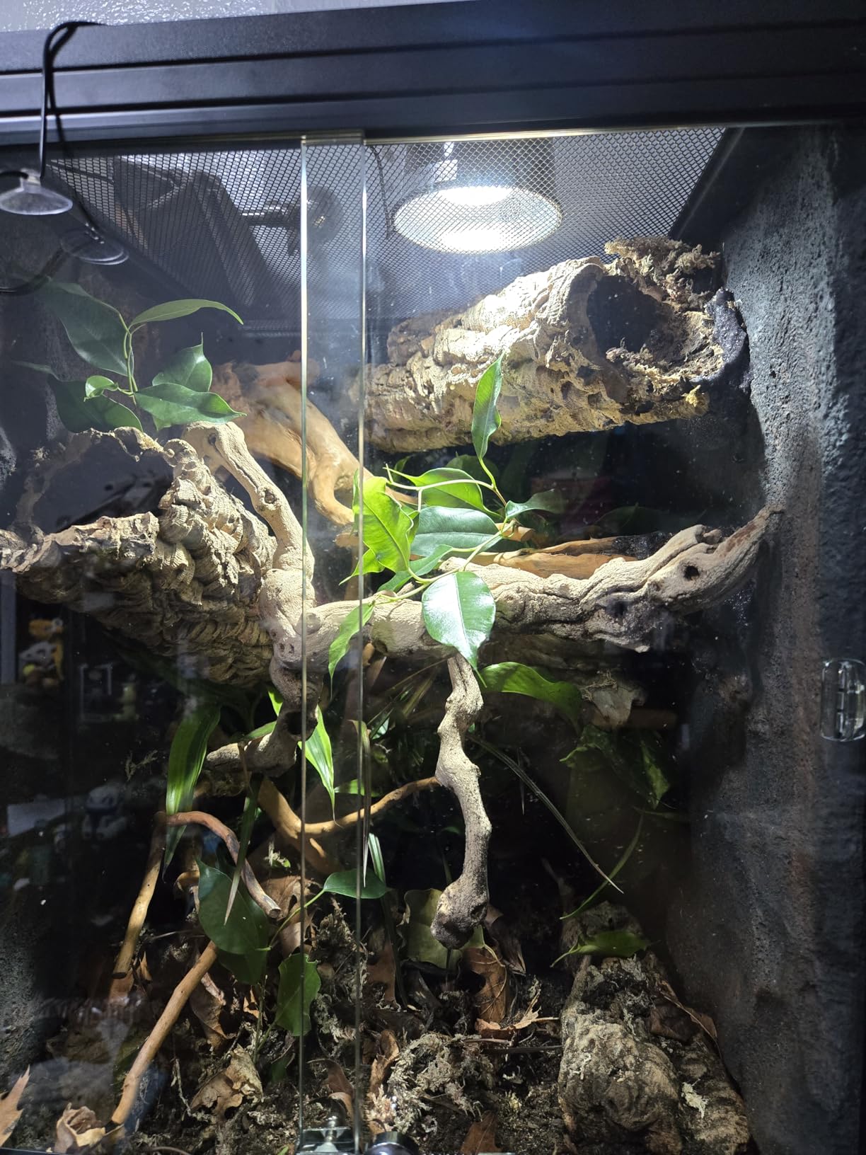 REPTI ZOO 30 Gallon PVC Tall Reptile Tank, 18x18x24 Reptile Terrarium for Frog Lizard Gecko Chameleon Snake, Tropical Rainforest Habitat Enclosure with Sliding Door & Top Screen Ventilation customer photo 2