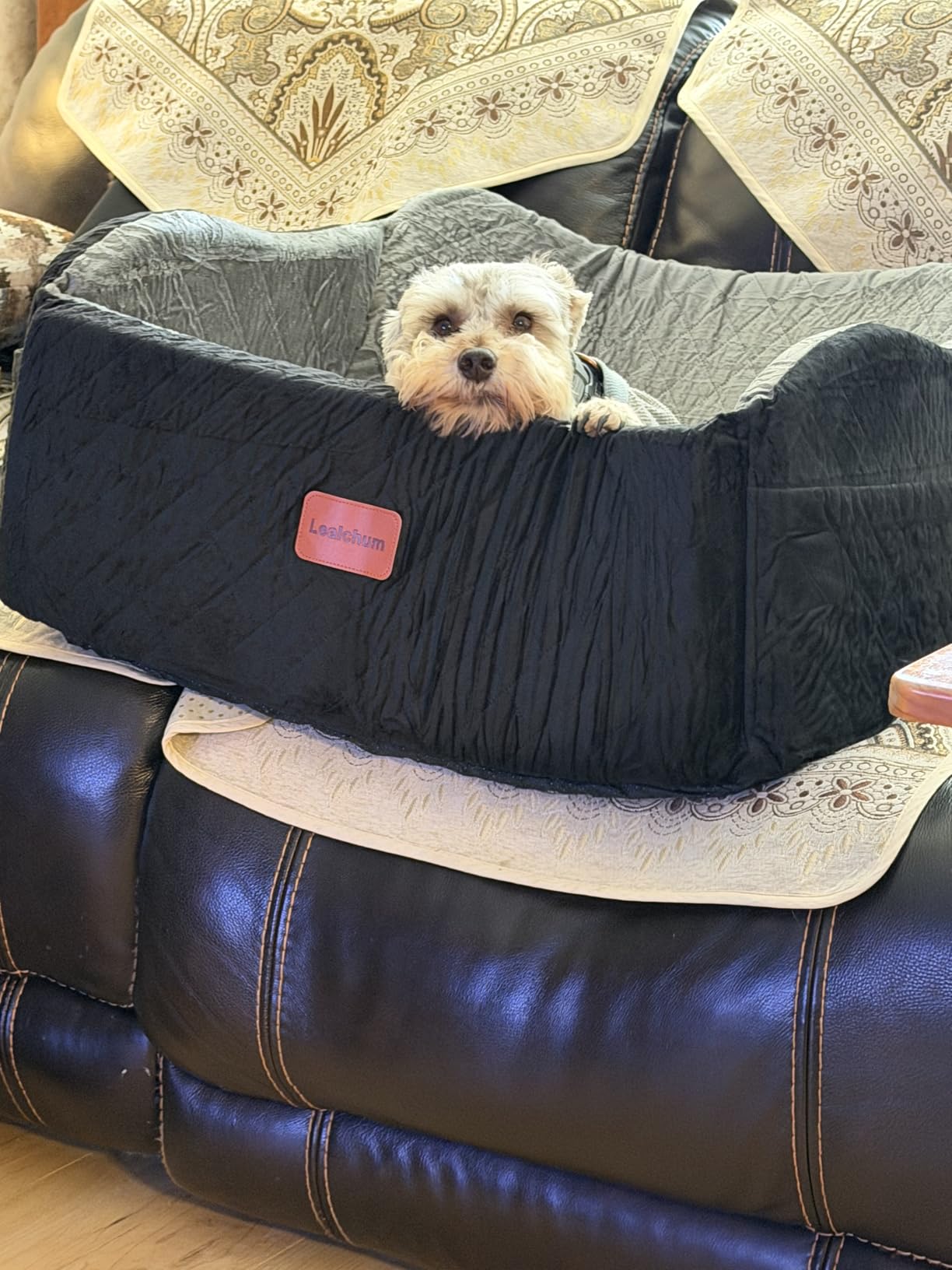 Lealchum Dog Car Seat Up to 55lb, 2 Clip-On Safety Adjustable Leashes Car Dog Bed for 2 Small Dogs, Fully Detachable and Washable Pet Car Seat with 2 Storage Pockets customer photo 1