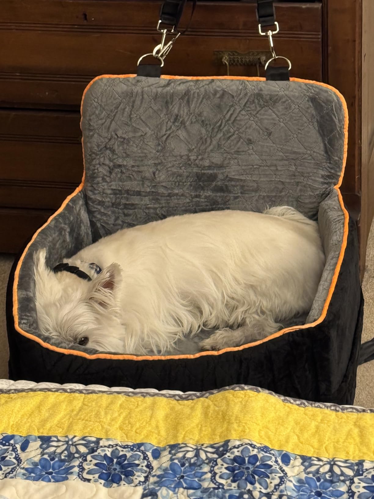 HEGGCOOE Small Dog Car Seat, Memory Foam Dog Booster Car Seats with Thick Cushion for Medium Dogs Under 35lbs, Detachable Washable Dog Bed for Car with Storage Pockets customer photo 1