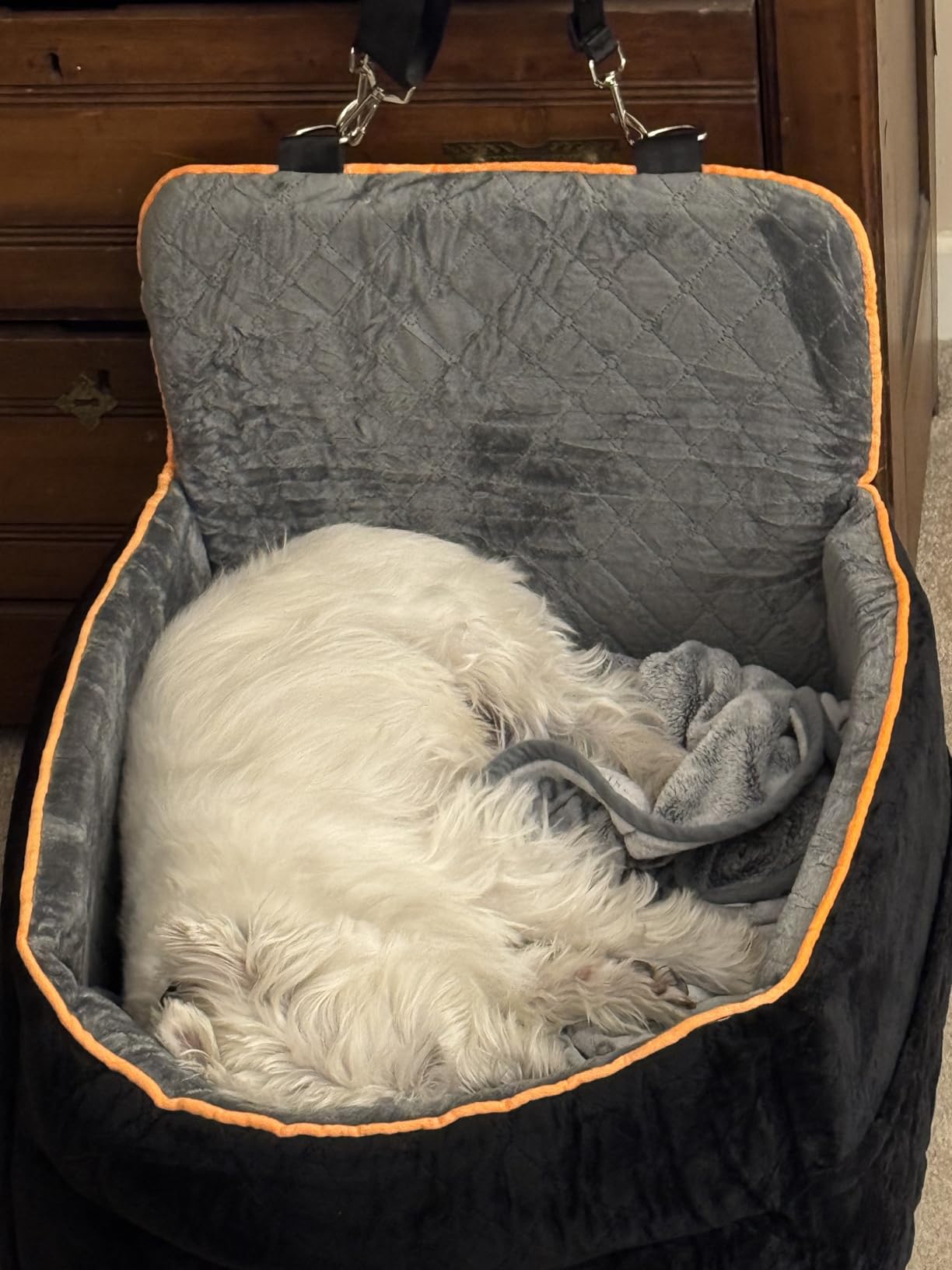 HEGGCOOE Small Dog Car Seat, Memory Foam Dog Booster Car Seats with Thick Cushion for Medium Dogs Under 35lbs, Detachable Washable Dog Bed for Car with Storage Pockets customer photo 2