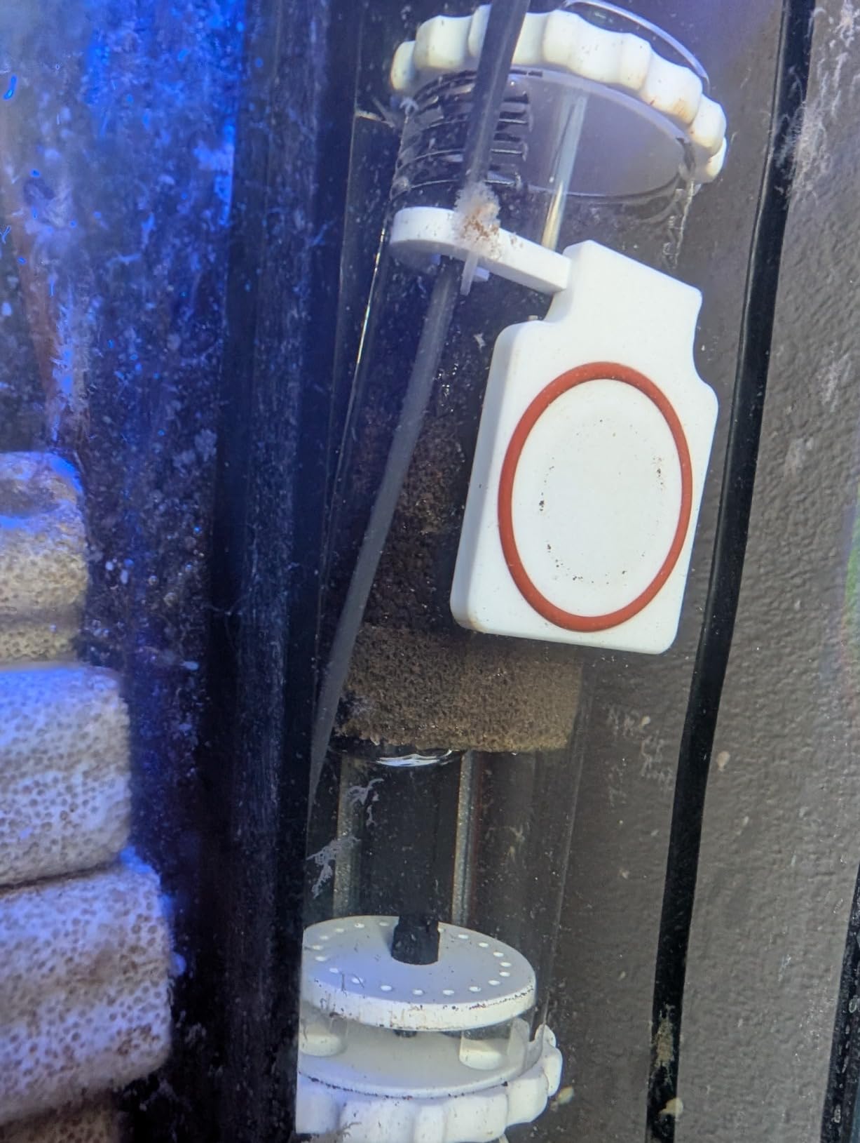 AquaReady in Tank Media Reactor for Saltwater and Freshwater Aquarium Filtration, Includes Adjustable Pump, Efficient Up-Flow Design, Low Profile Magnetic Mount customer photo 1