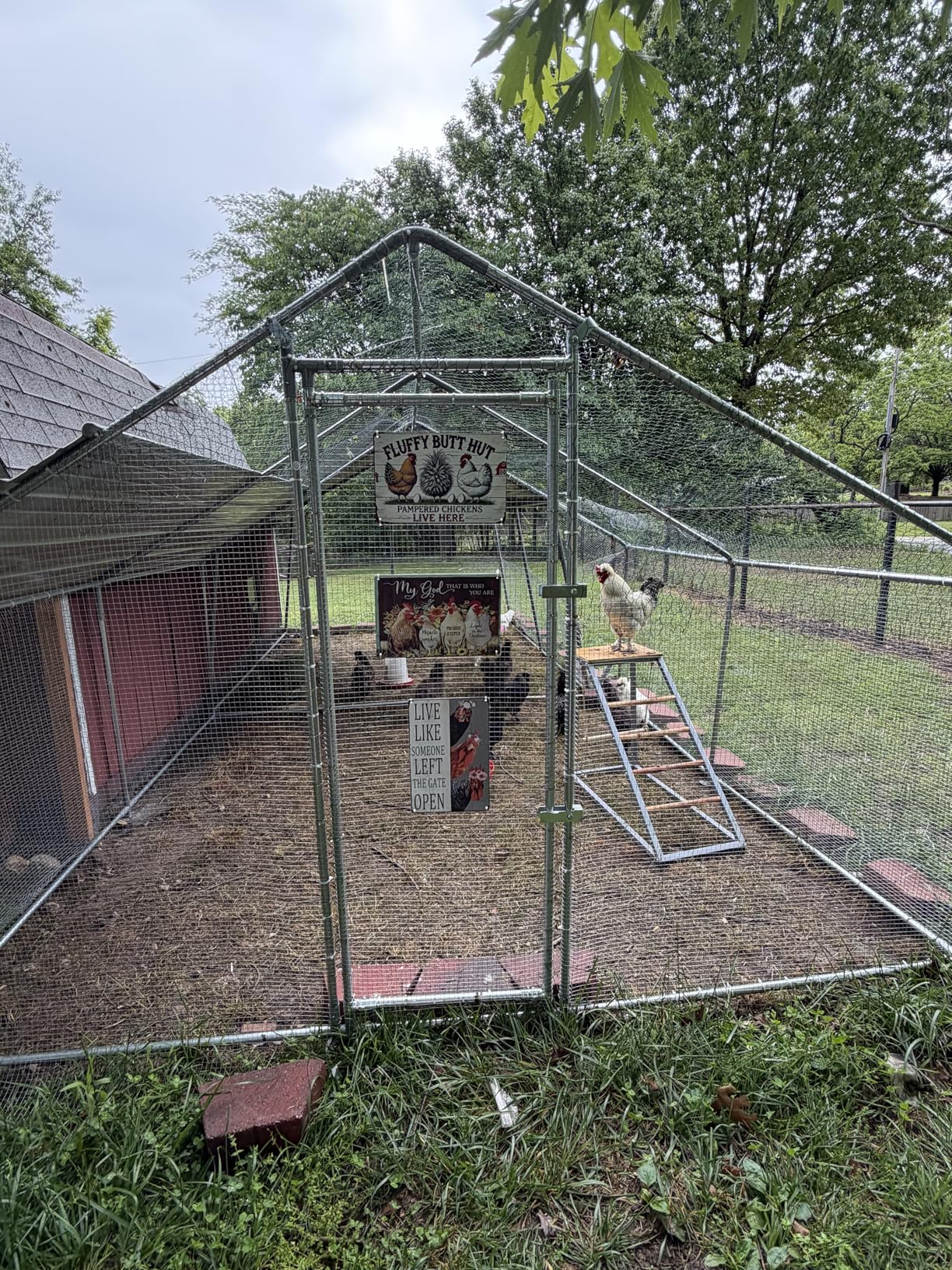 VEVOR Large Metal Chicken Coop, 19.7x9.8x6.5ft Walk-in Chicken Runs for Yard with Cover, Spire Roof Hen House with Security Lock for Outdoor and Backyard customer photo 1