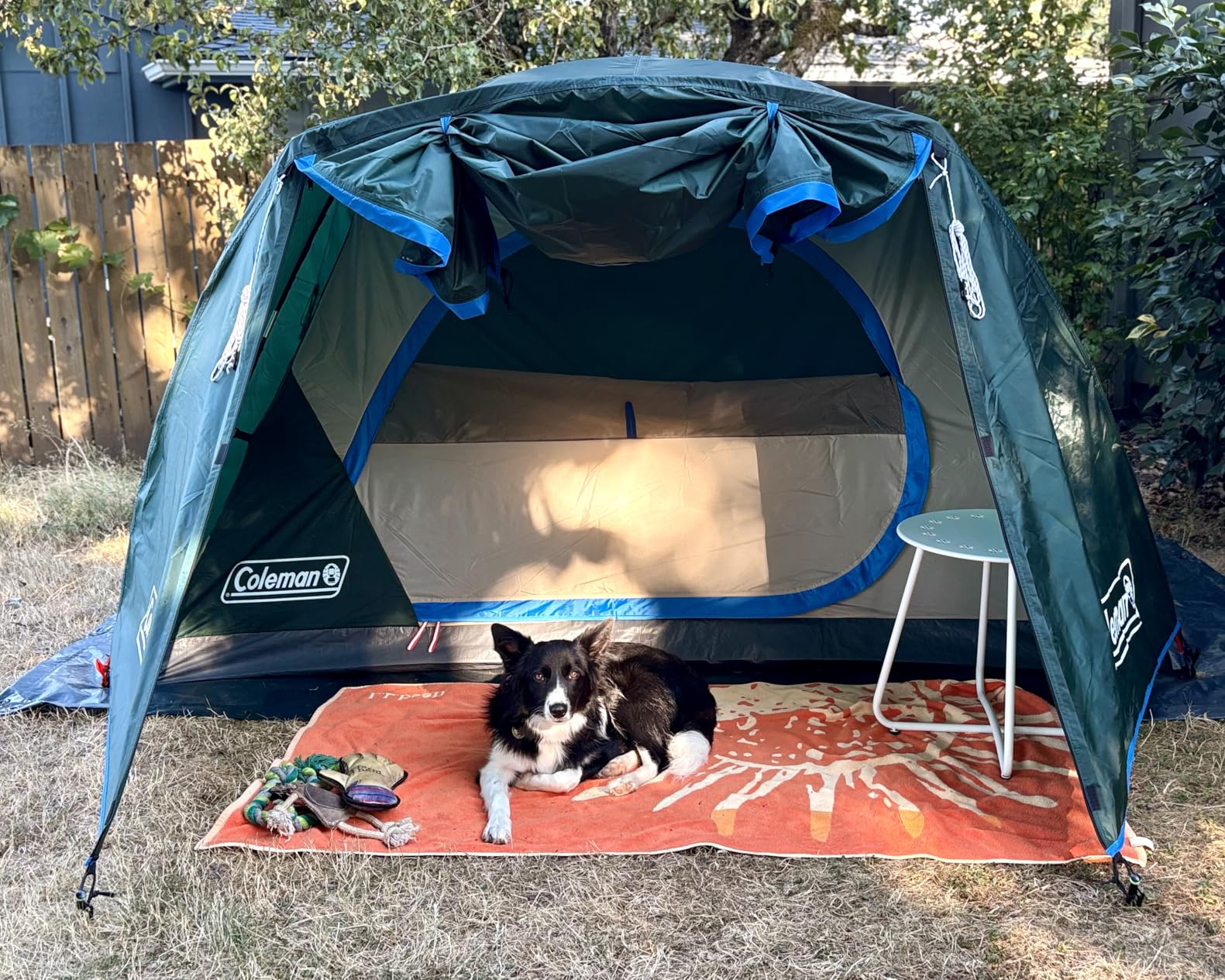 Coleman Skydome Tent with Full-Fly Weather Vestibule, Weatherproof 4 Person Tent Sets Up in 5 Minutes customer photo 1