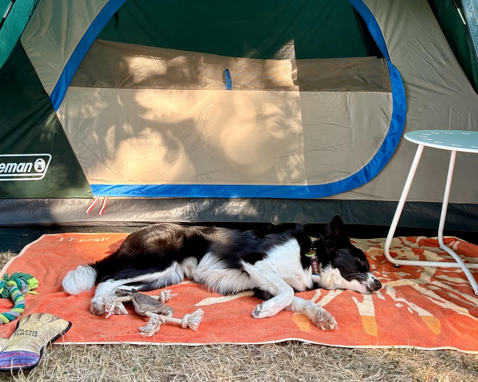 Coleman Skydome Tent with Full-Fly Weather Vestibule, Weatherproof 4 Person Tent Sets Up in 5 Minutes customer photo 2