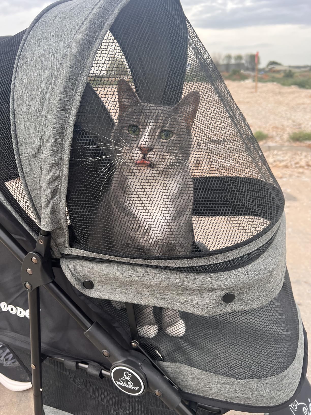 ROODO 3 Wheel Dog Pet Cat Stroller Best Lightweight Foldable Compact Portable Jogger All Terrain Travel Pet Gear Puppy Kitty Stroller for up to 30lbs Medium Small Dogs and Cats(Light Khaki) customer photo 1