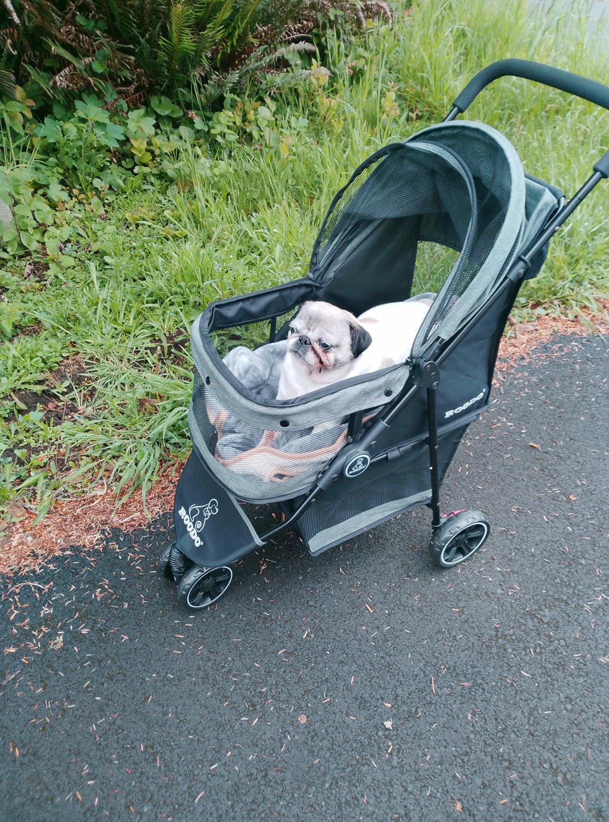 ROODO 3 Wheel Dog Pet Cat Stroller Best Lightweight Foldable Compact Portable Jogger All Terrain Travel Pet Gear Puppy Kitty Stroller for up to 30lbs Medium Small Dogs and Cats(Light Khaki) customer photo 2