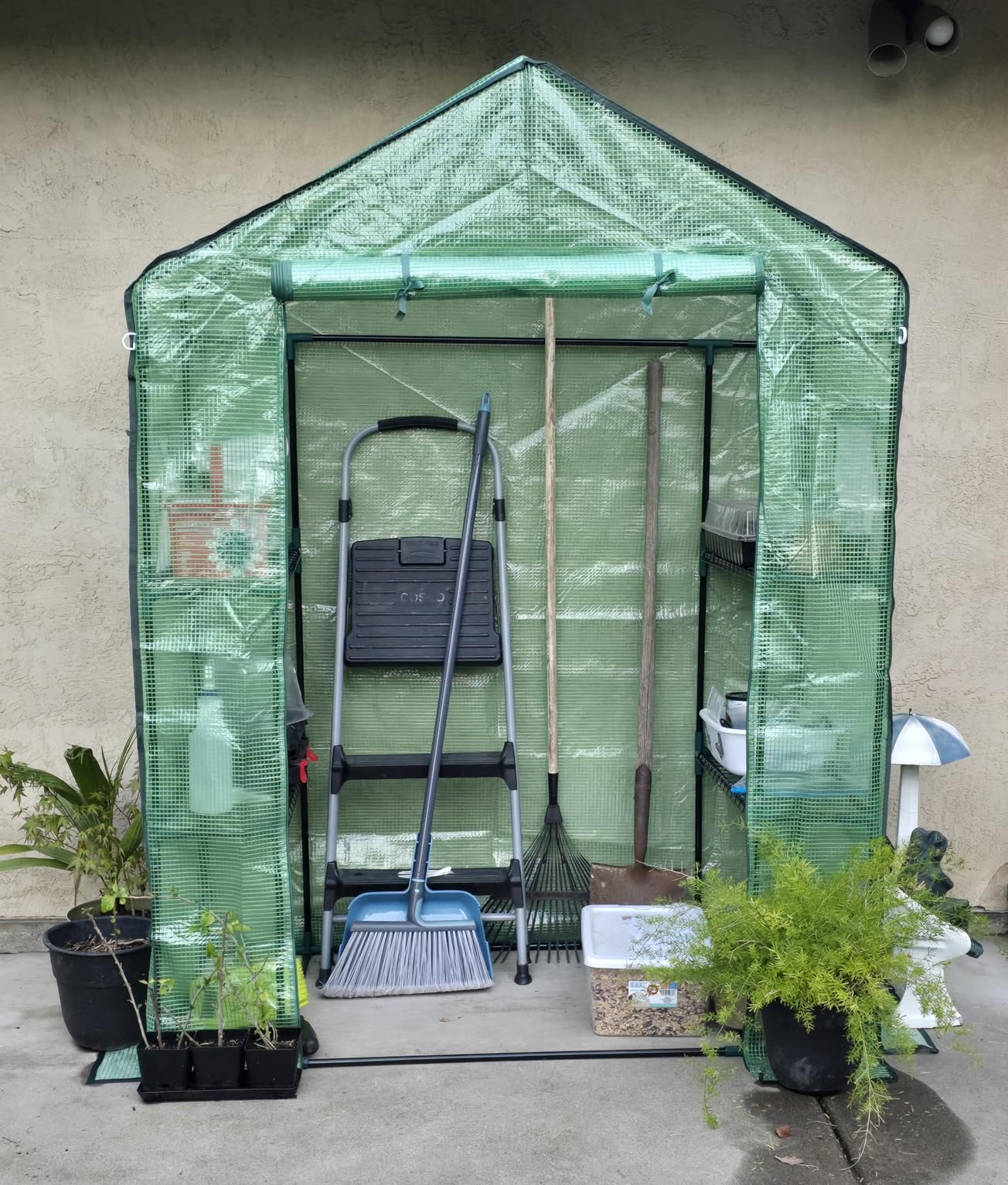 Greengro Greenhouse, 28 x 57 x 76'' Greenhouses for Outdoors, Small Plant Green House with Screen Windows, 3 Tiers 4 Shelves, Durable PE Cover customer photo 1