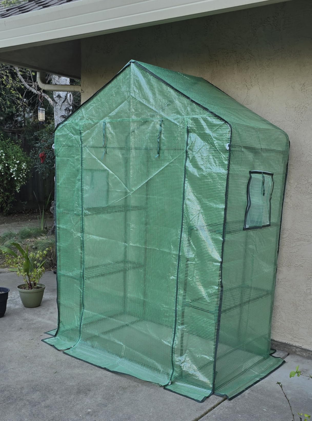 Greengro Greenhouse, 28 x 57 x 76'' Greenhouses for Outdoors, Small Plant Green House with Screen Windows, 3 Tiers 4 Shelves, Durable PE Cover customer photo 2