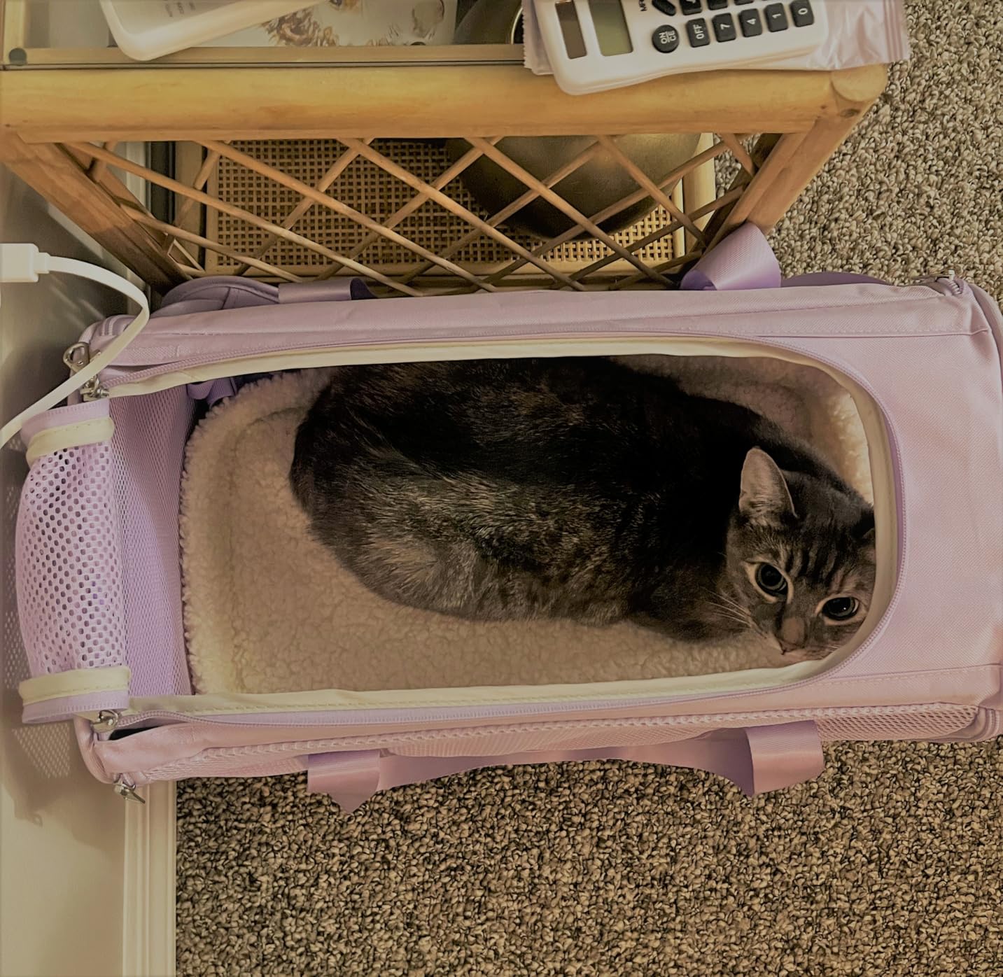 PETSFIT Soft-Sided Cat Carrier with Patented Safety Buckles, Lockable Zippers & Safety Tether, Escape-Resistant Travel Pet Carrier for Car Rides & Vet Visits, Airline Approved Under-Seat, Up to 12 lbs customer photo 1