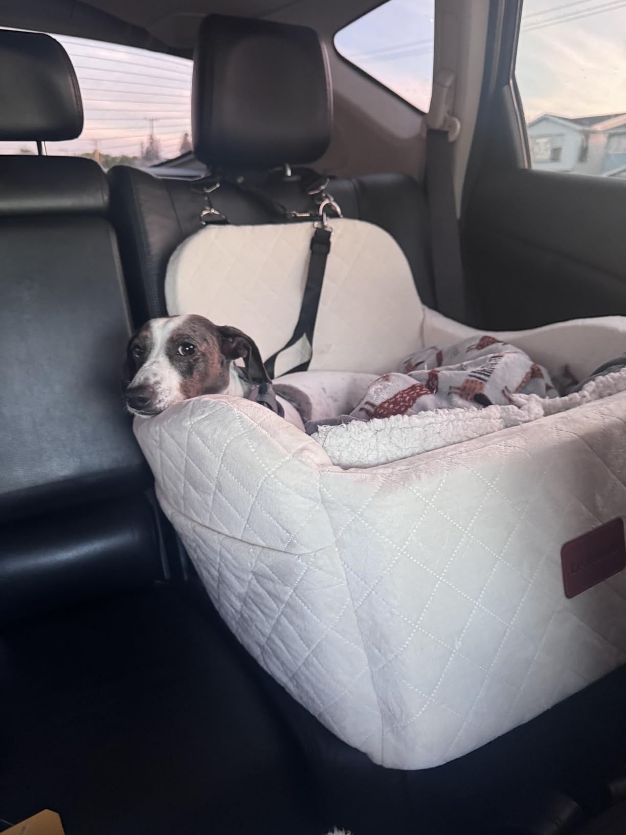 Lealchum Dog Booster Car Seat for S/M Dogs Up to 35lbs,Soft 6in Elevated Cushion,Fits in Front/Back Seat,Fully Detachable and Washable,2 Storage Pockets & 3 Straps,Easy to Install (Black/Brown,Medium) customer photo 1