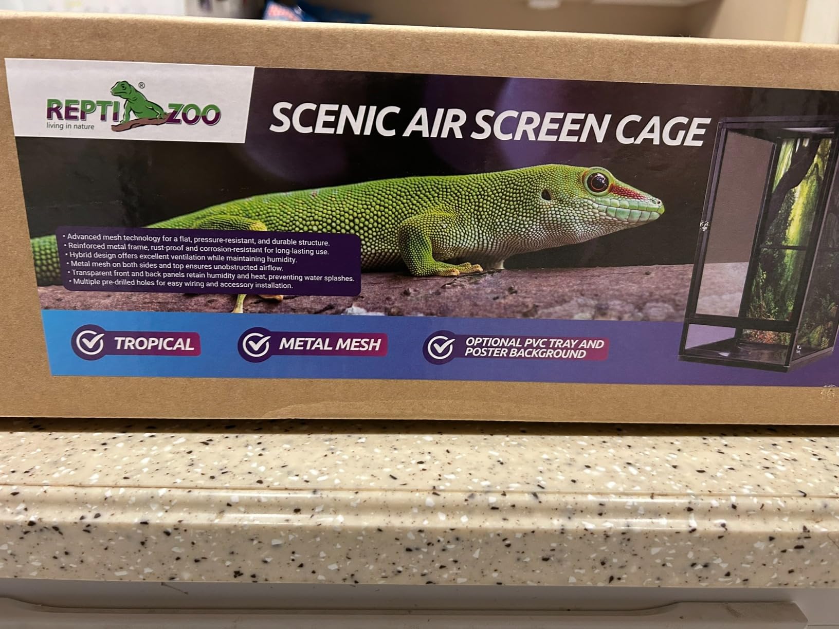 REPTI ZOO 16
