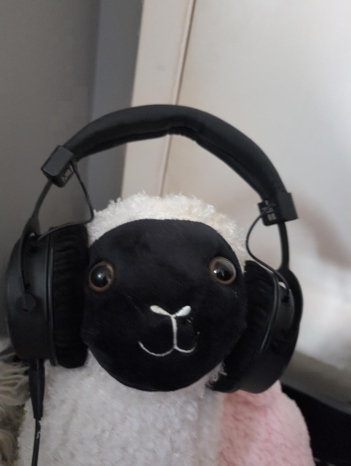 beyerdynamic DT 1770 PRO MKII Wired Over-Ear Headphones, 30 Ohm, Closed-Back Studio Monitor customer photo 1