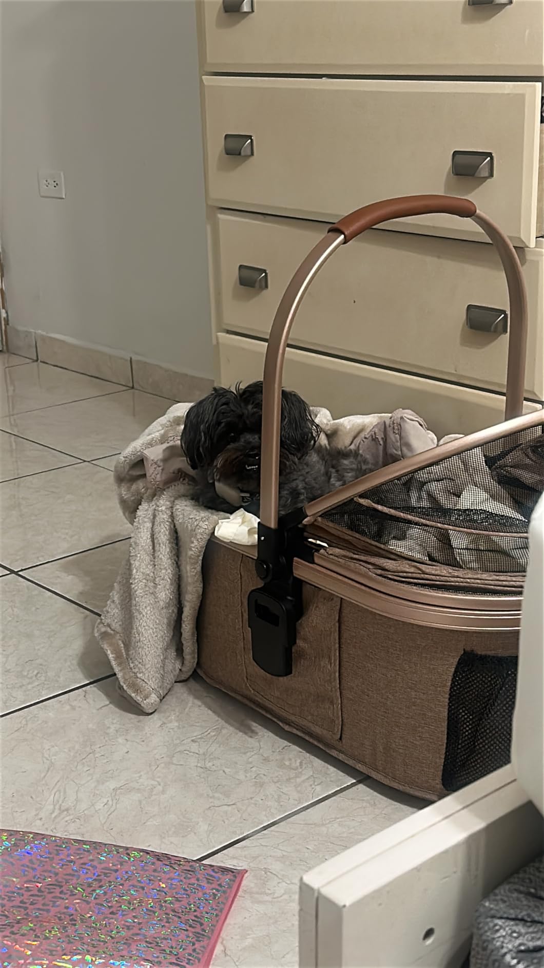 Bicystar Pet Stroller for Medium Dogs, Smooth-Ride Dog Stroller with Detachable Carrier, Rubber Wheels, Car Seat Combo 3-in-1, Up to 50 lbs, for Senior Dogs & Cats, Tan customer photo 1