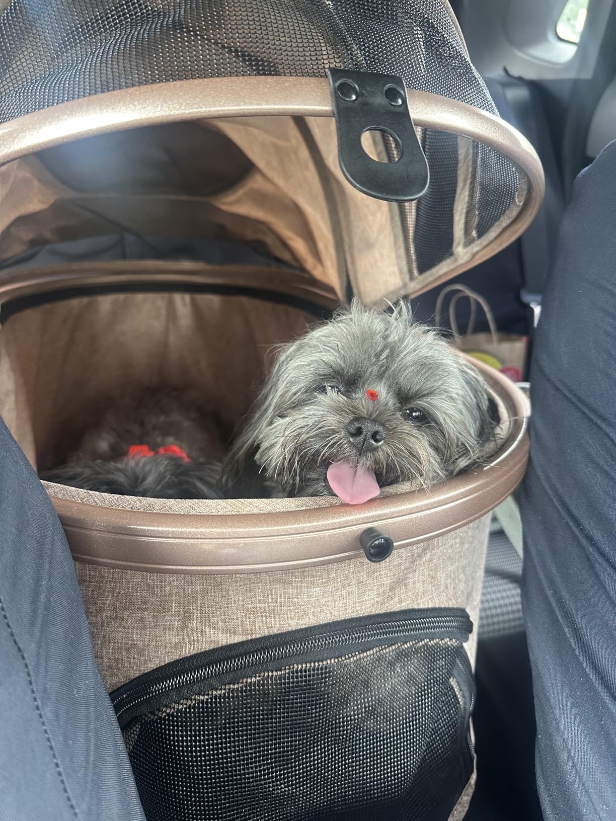 Bicystar Pet Stroller for Medium Dogs, Smooth-Ride Dog Stroller with Detachable Carrier, Rubber Wheels, Car Seat Combo 3-in-1, Up to 50 lbs, for Senior Dogs & Cats, Tan customer photo 2